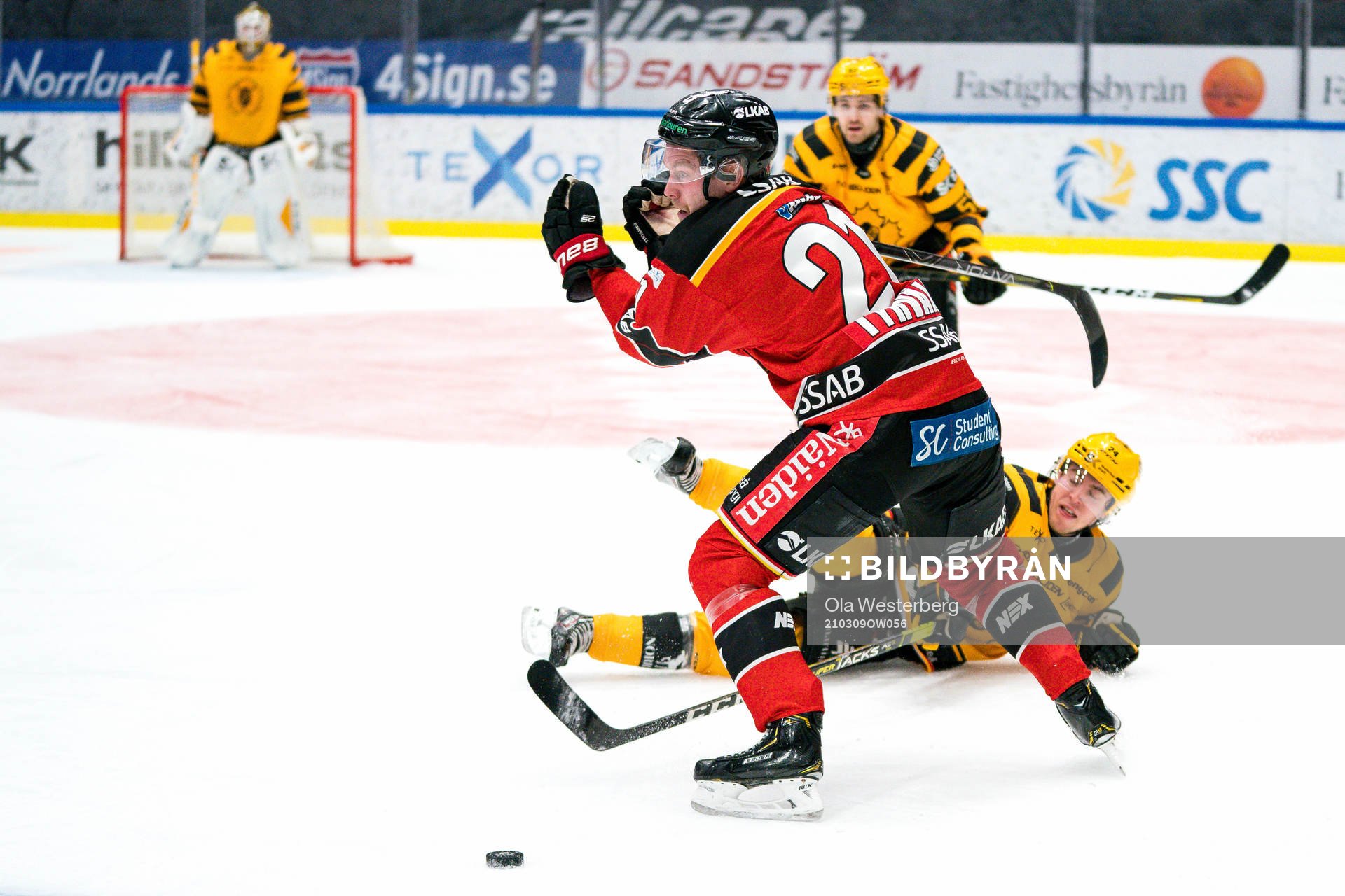 Skellefteås Andreas Wingerli och Luleås Juhani Tyrväinen