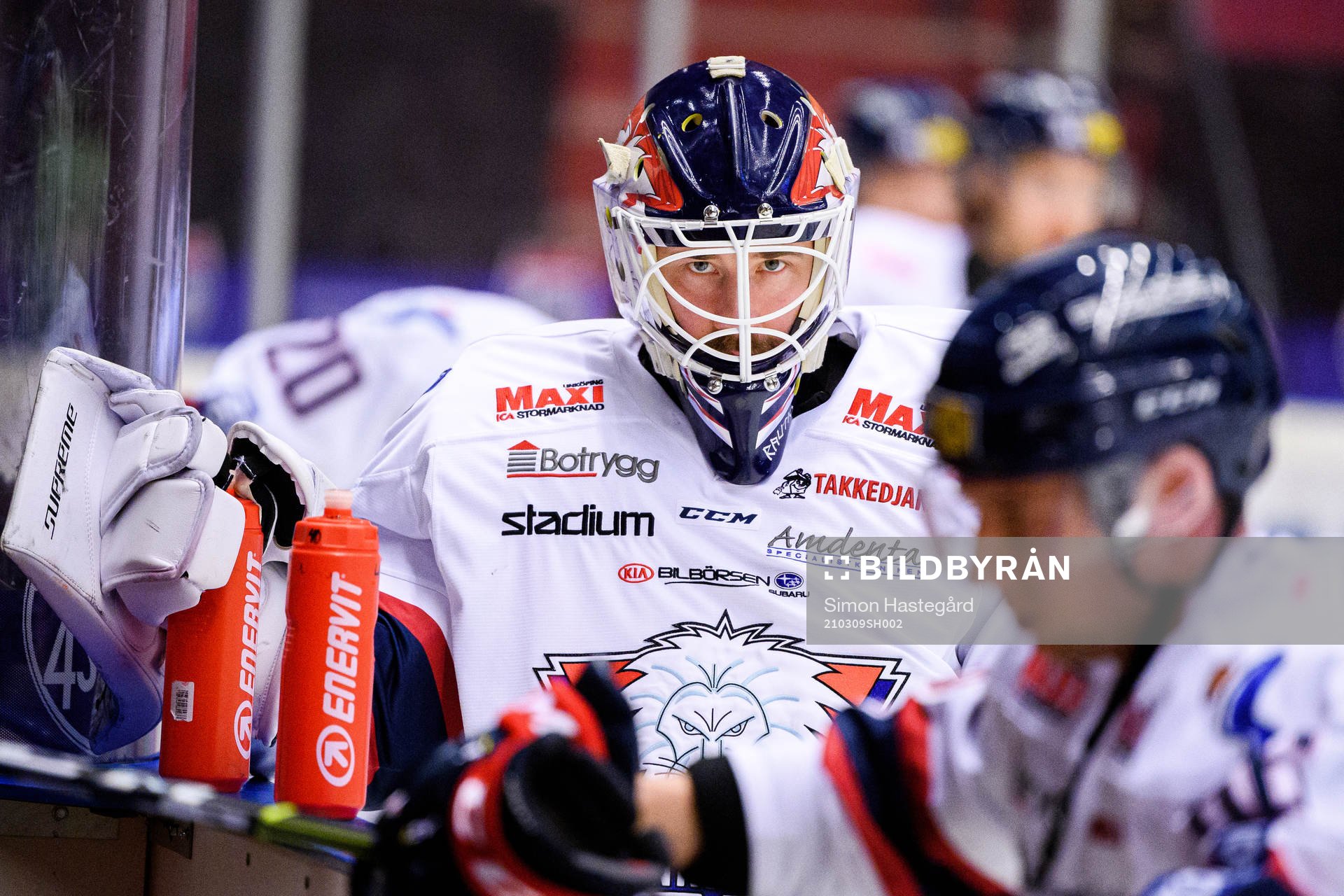 Linköpings målvakt David Rautio