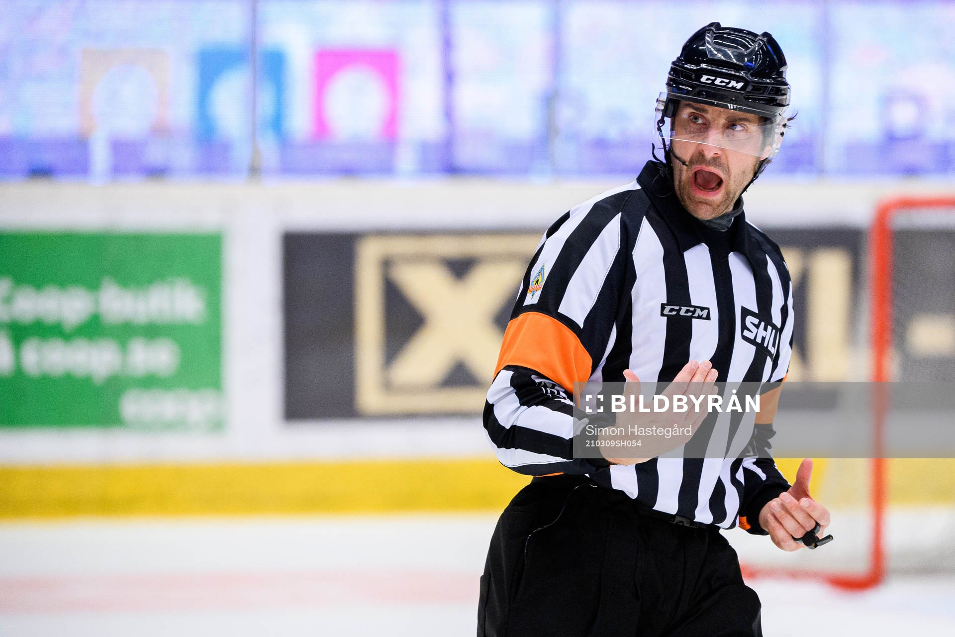 Domare Mikael Sjöqvist