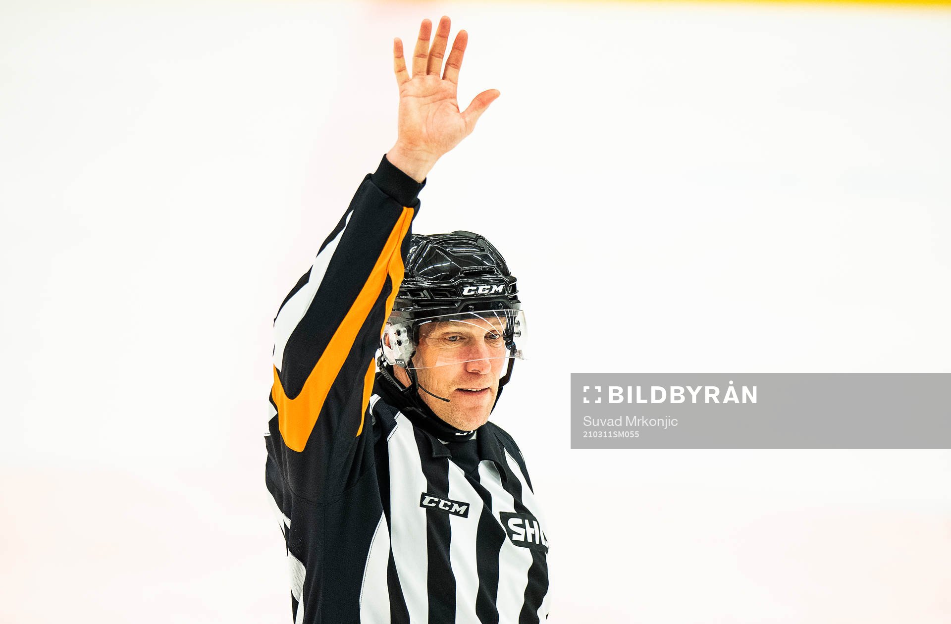 Domare Morgan Johansson