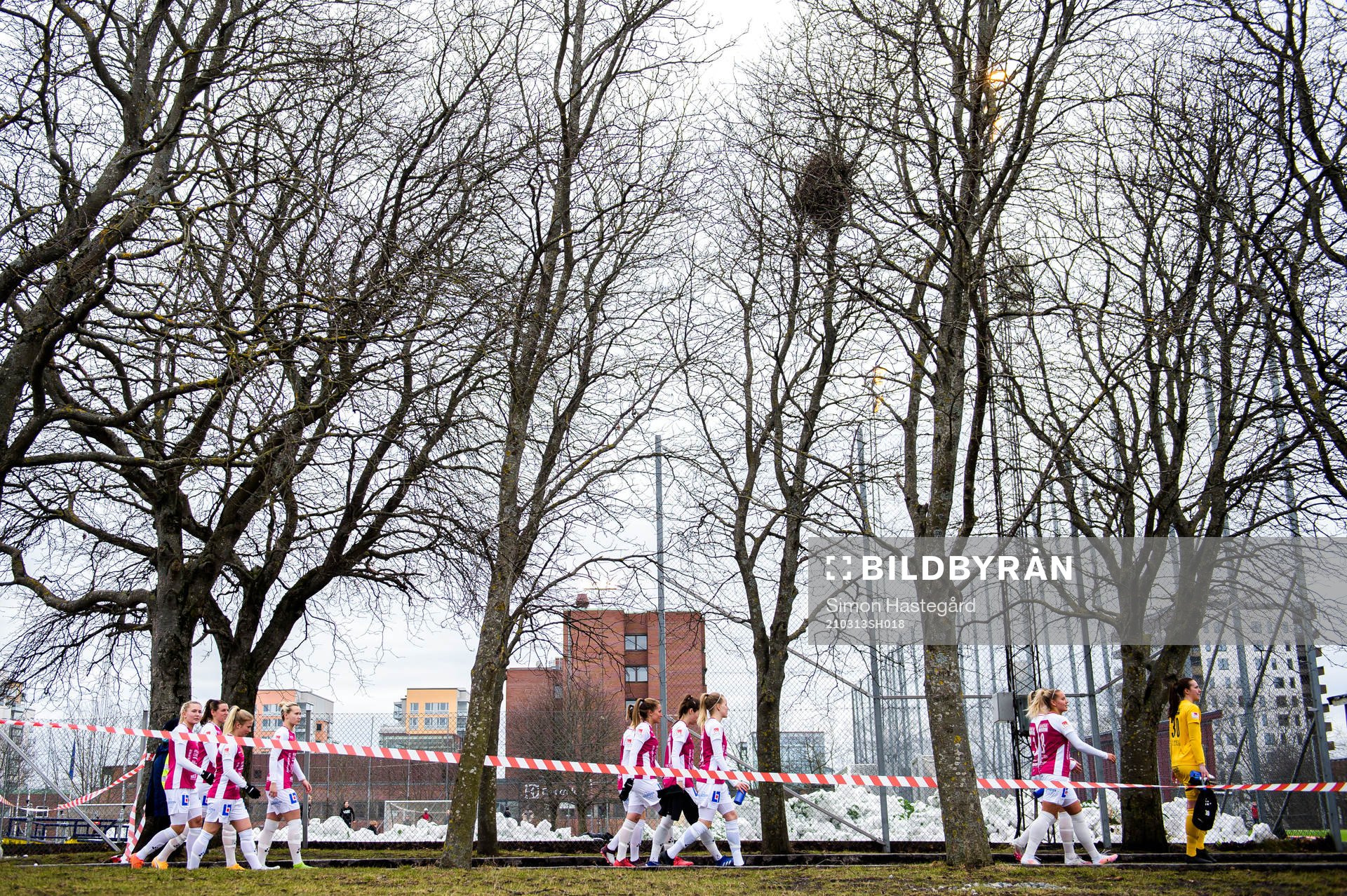Uppsalas spelare