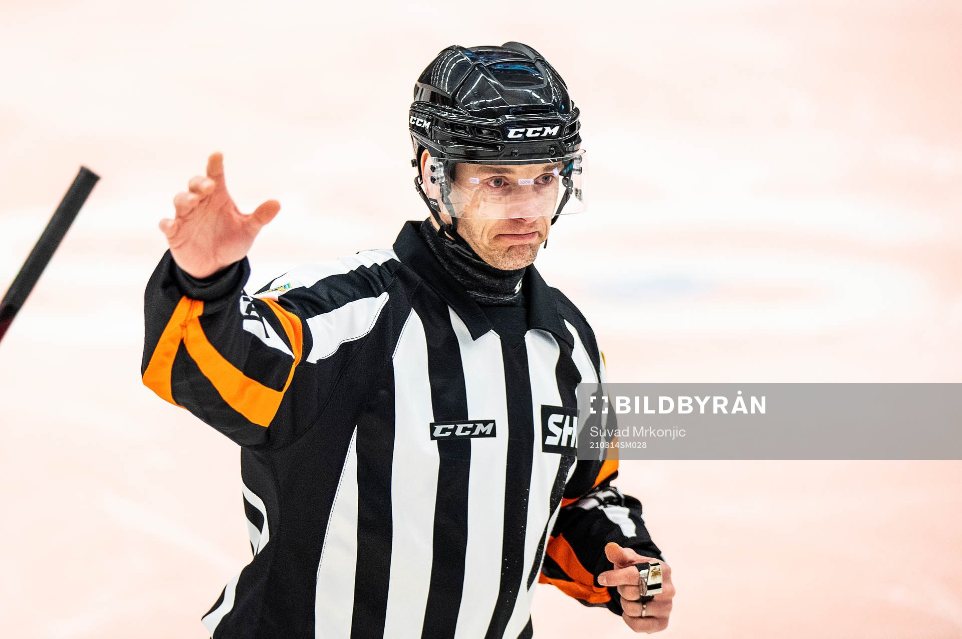 Domare Mikael Andersson