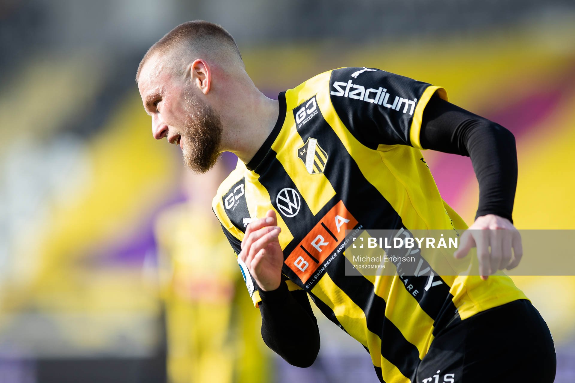 Häckens Alexander Faltsetas