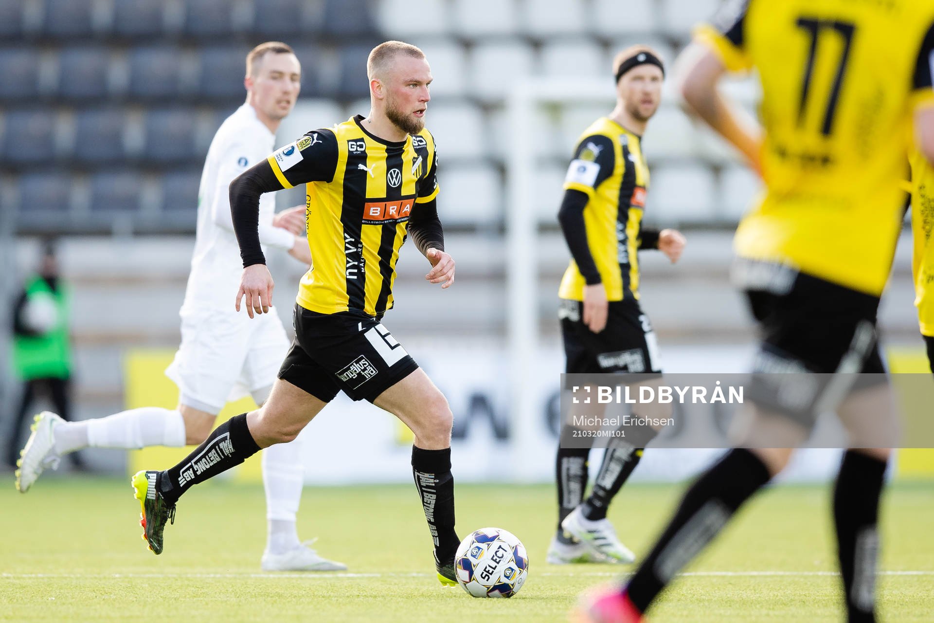 Häckens Alexander Faltsetas