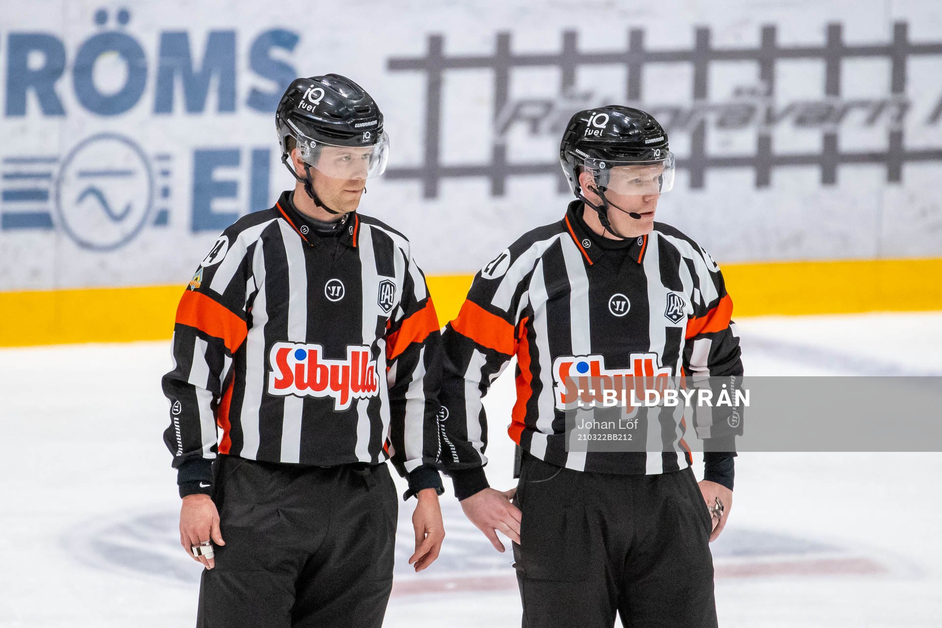 Domare Filip Sandstedt och domare Anders Sandahl