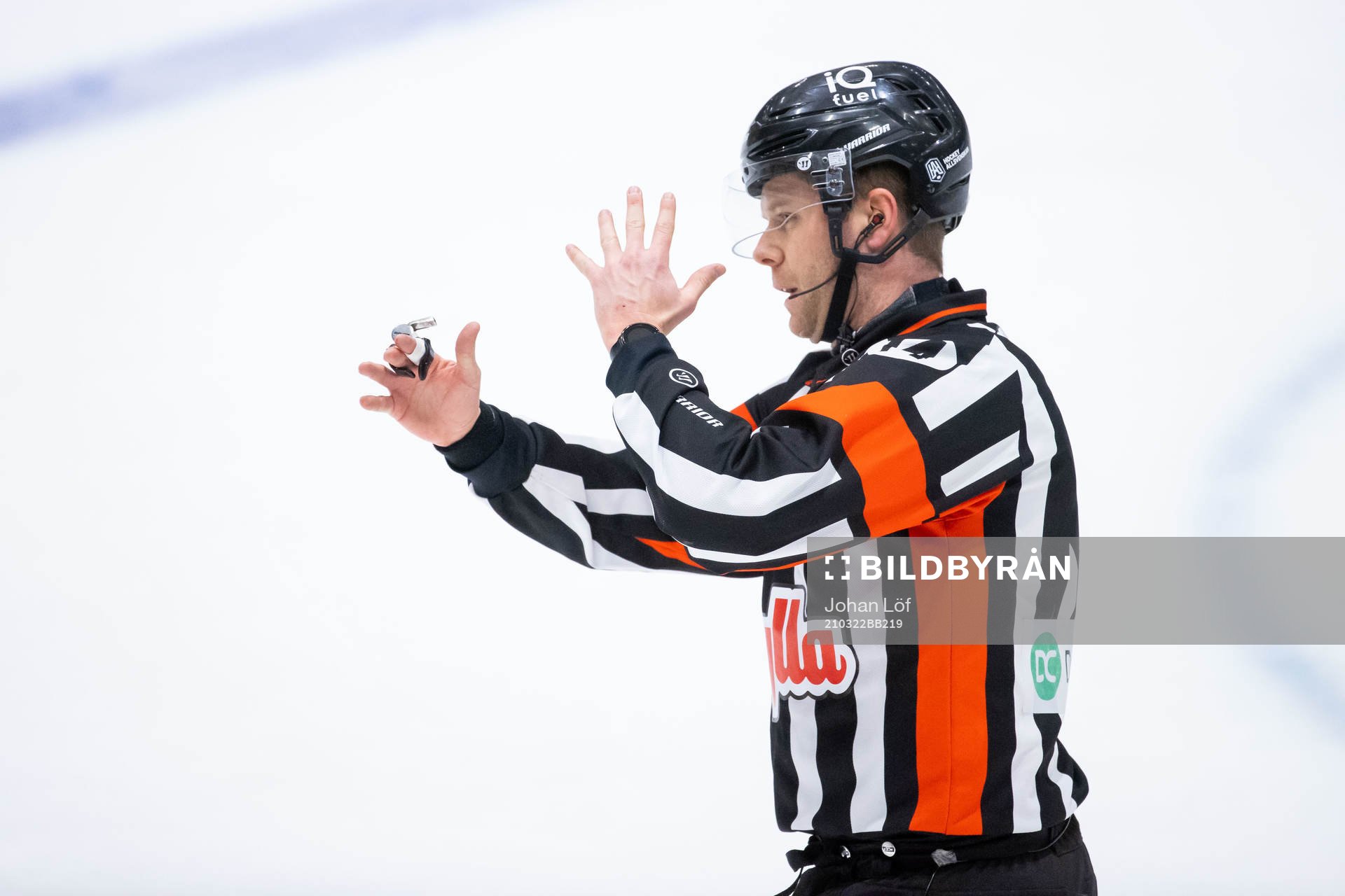 Domare Filip Sandstedt
