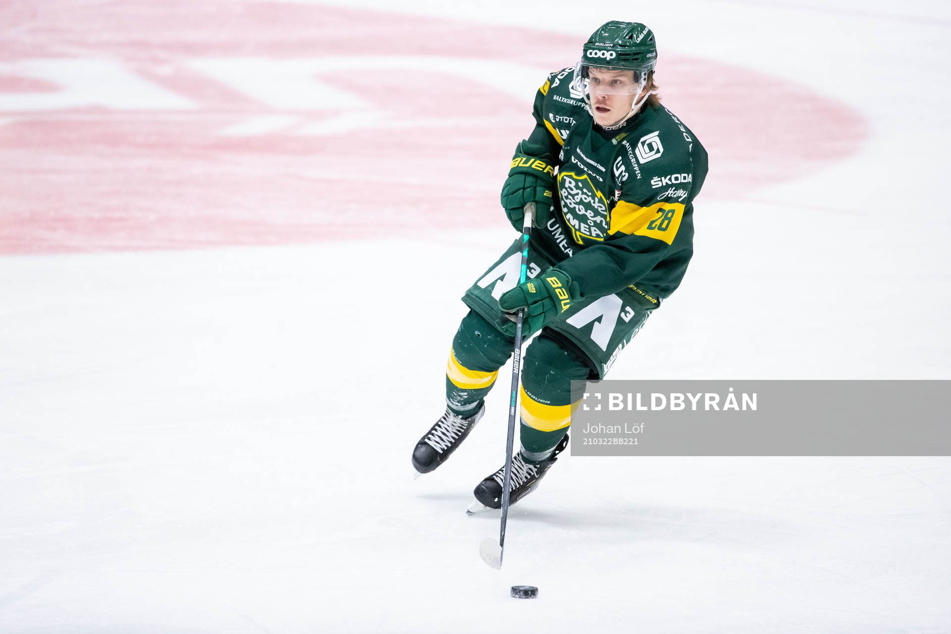 Björklövens Adam Plant