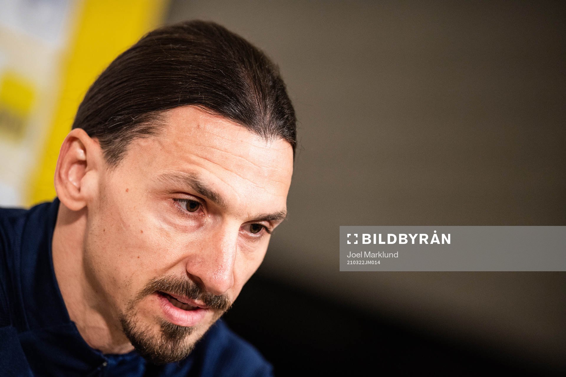 Zlatan Ibrahimovic of the Swedish national football team