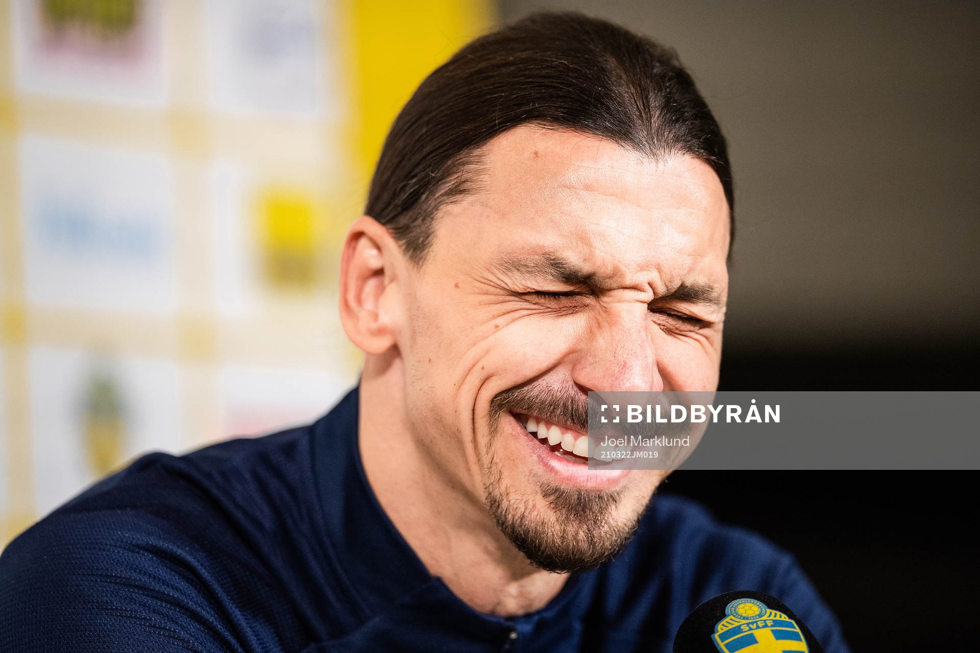 Zlatan Ibrahimovic of the Swedish national football team