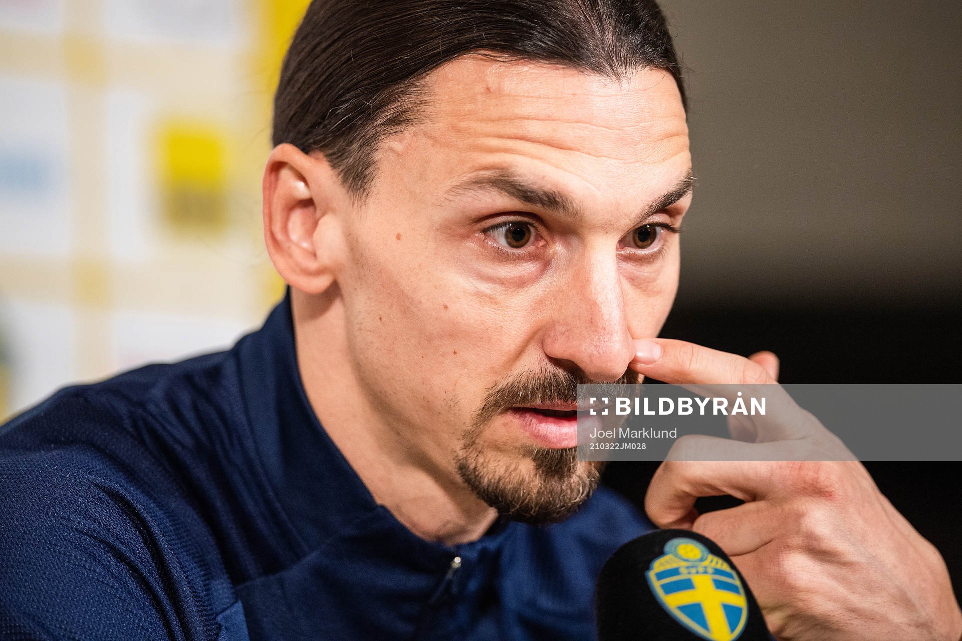Zlatan Ibrahimovic of the Swedish national football team