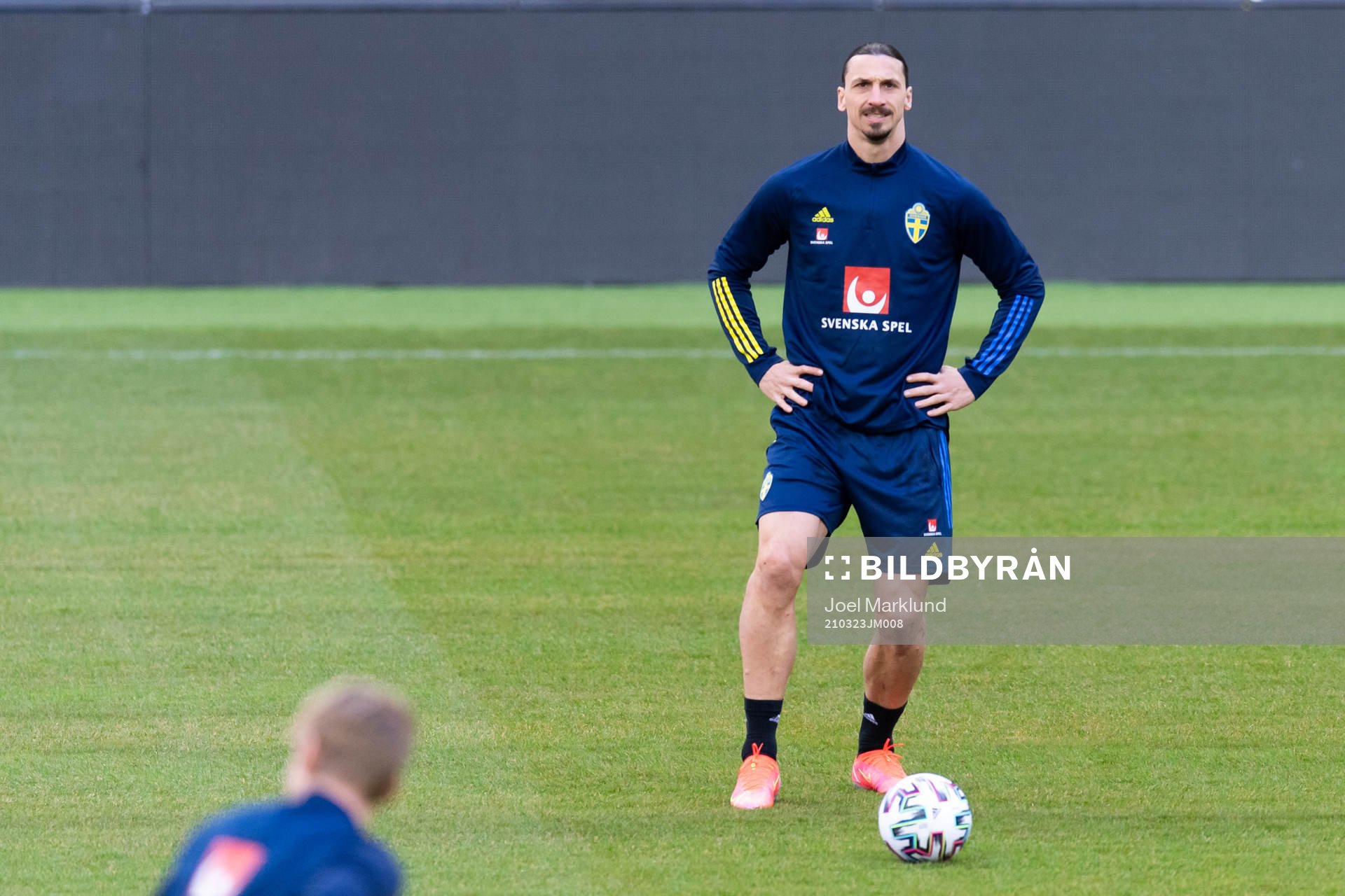 Zlatan Ibrahimovic of the Swedish national football team