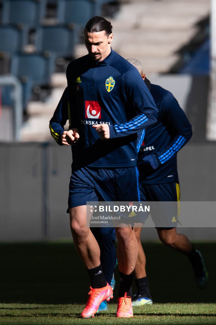 Zlatan Ibrahimovic of the Swedish national football team