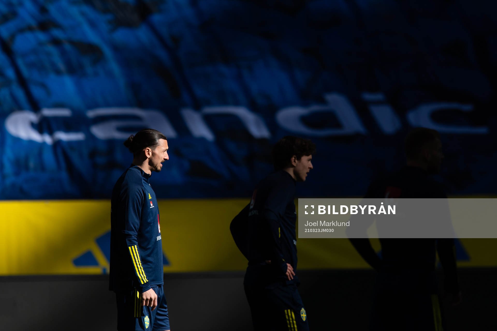 Zlatan Ibrahimovic of the Swedish national football team