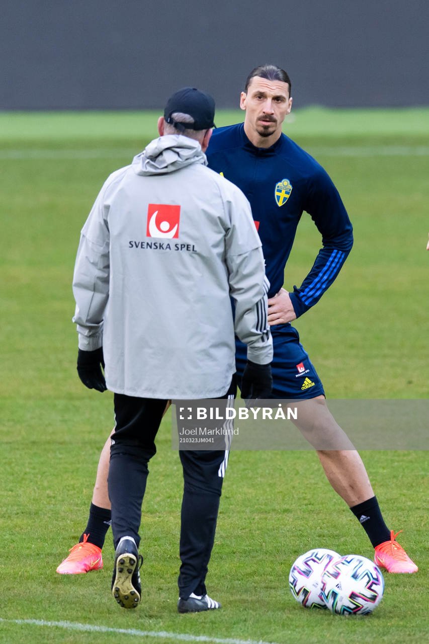 Zlatan Ibrahimovic of the Swedish national football team