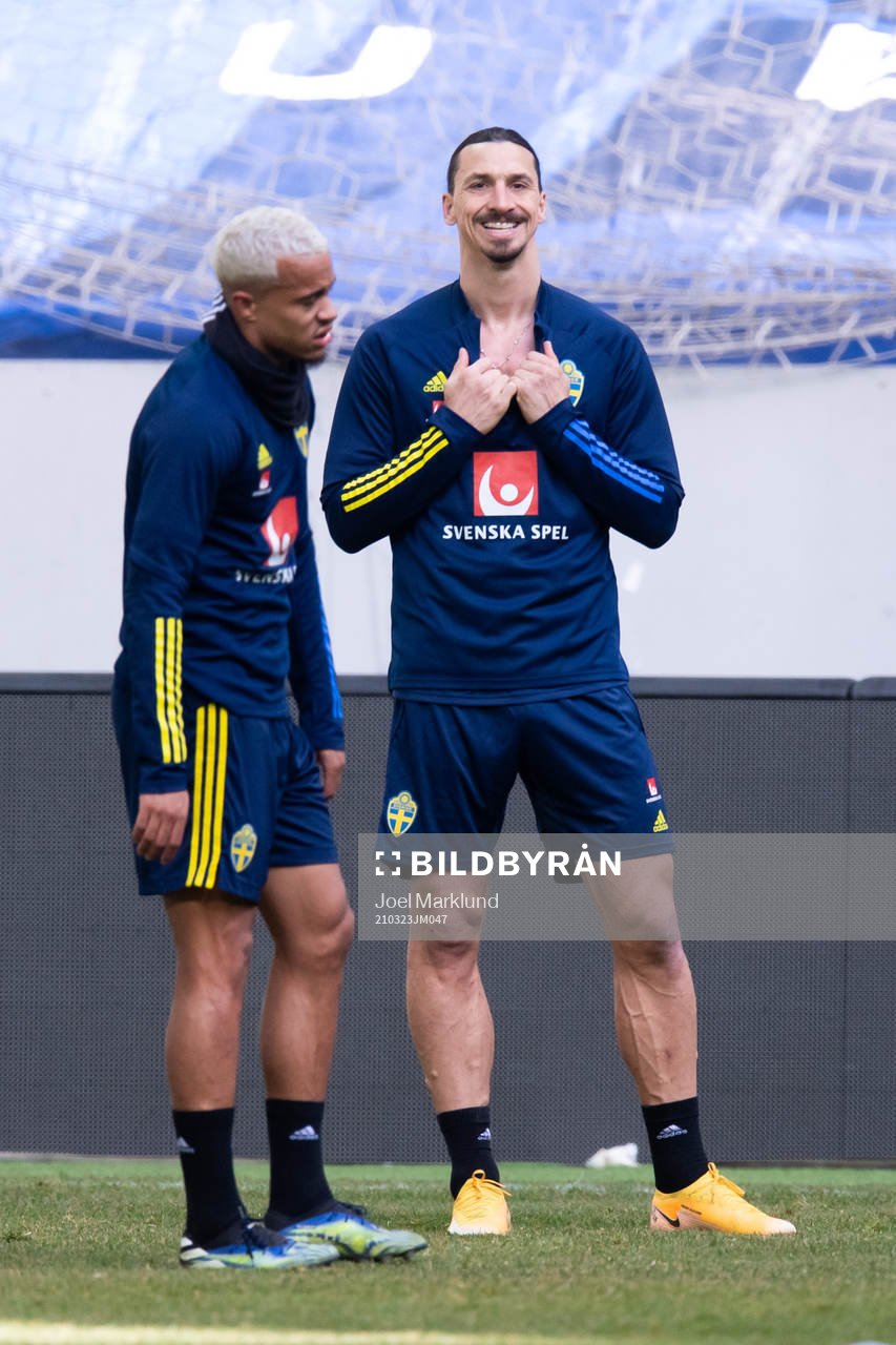 Zlatan Ibrahimovic of the Swedish national football team