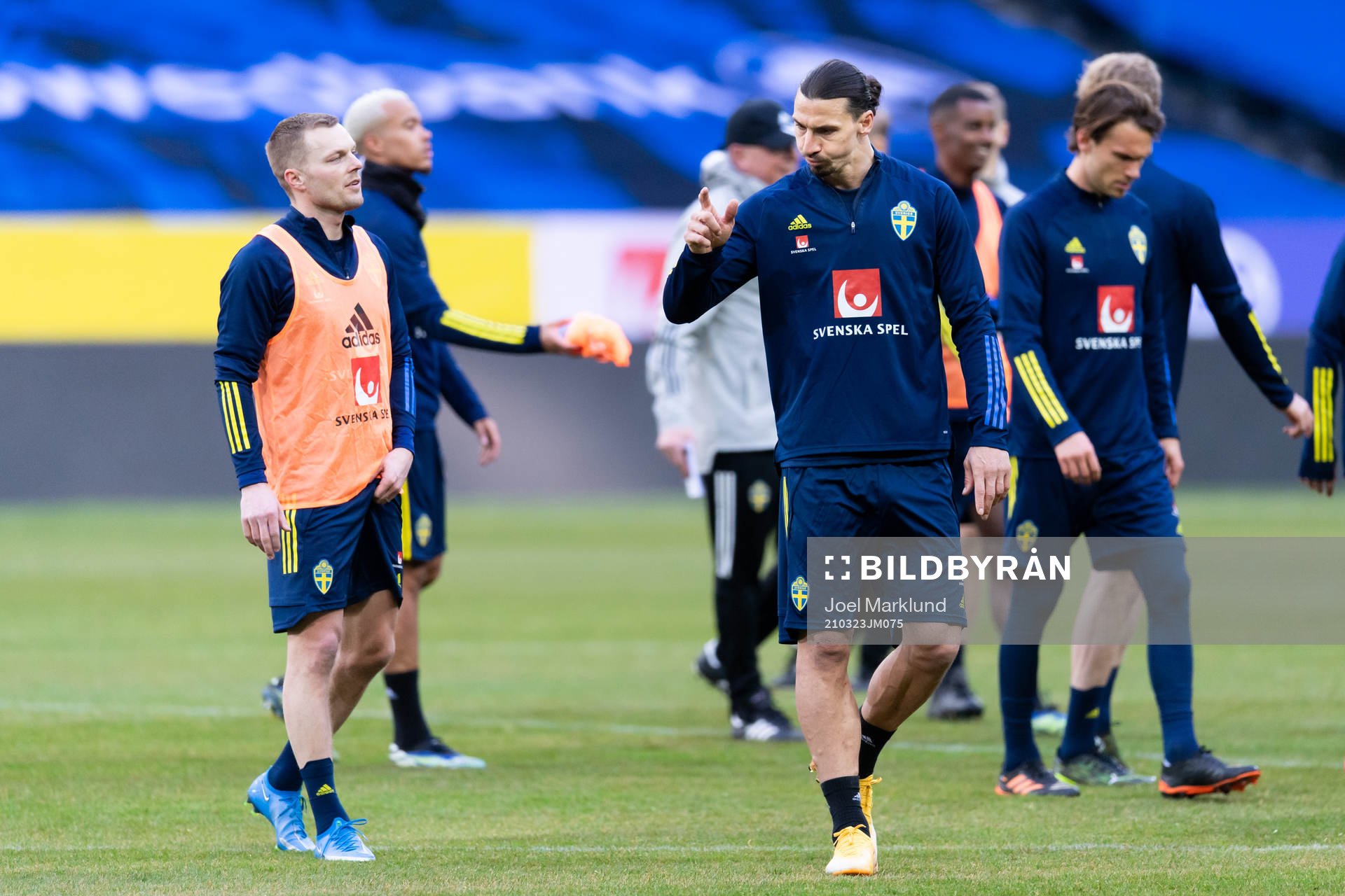 Sebastian Larsson and Zlatan Ibrahimovic of the Swedish