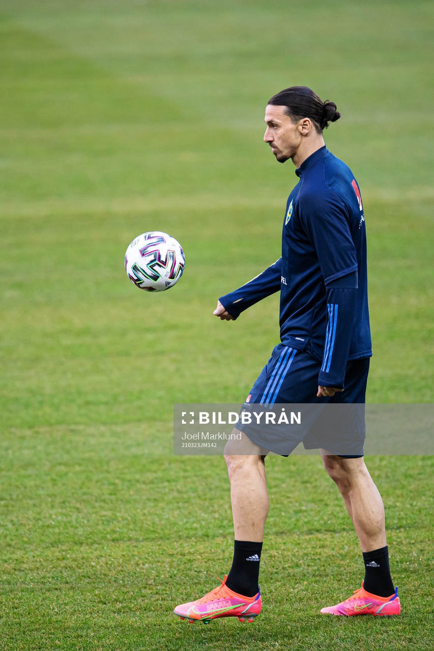 Zlatan Ibrahimovic of the Swedish national football team