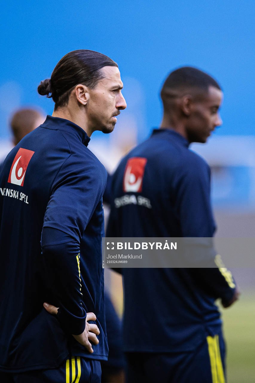 Zlatan Ibrahimovic of the Swedish national football team