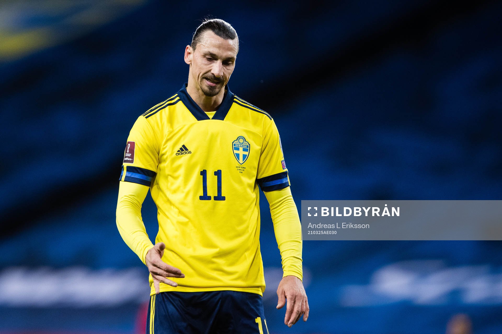 Zlatan Ibrahimovic of Sweden