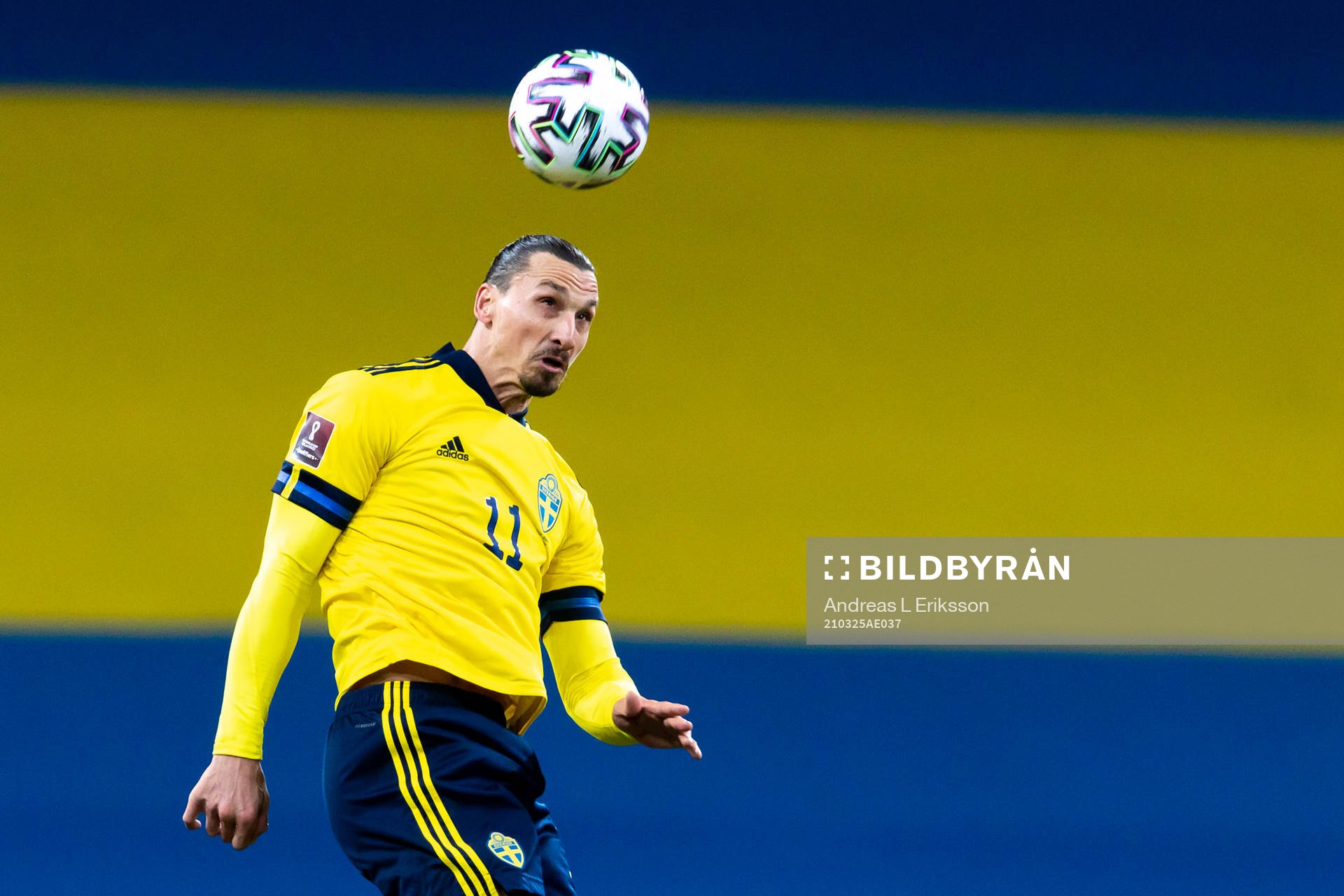 Zlatan Ibrahimovic of Sweden
