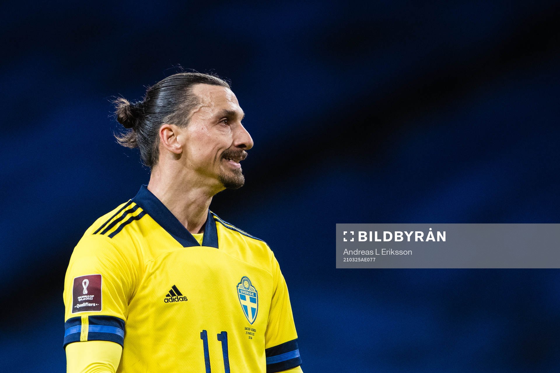 Zlatan Ibrahimovic of Sweden