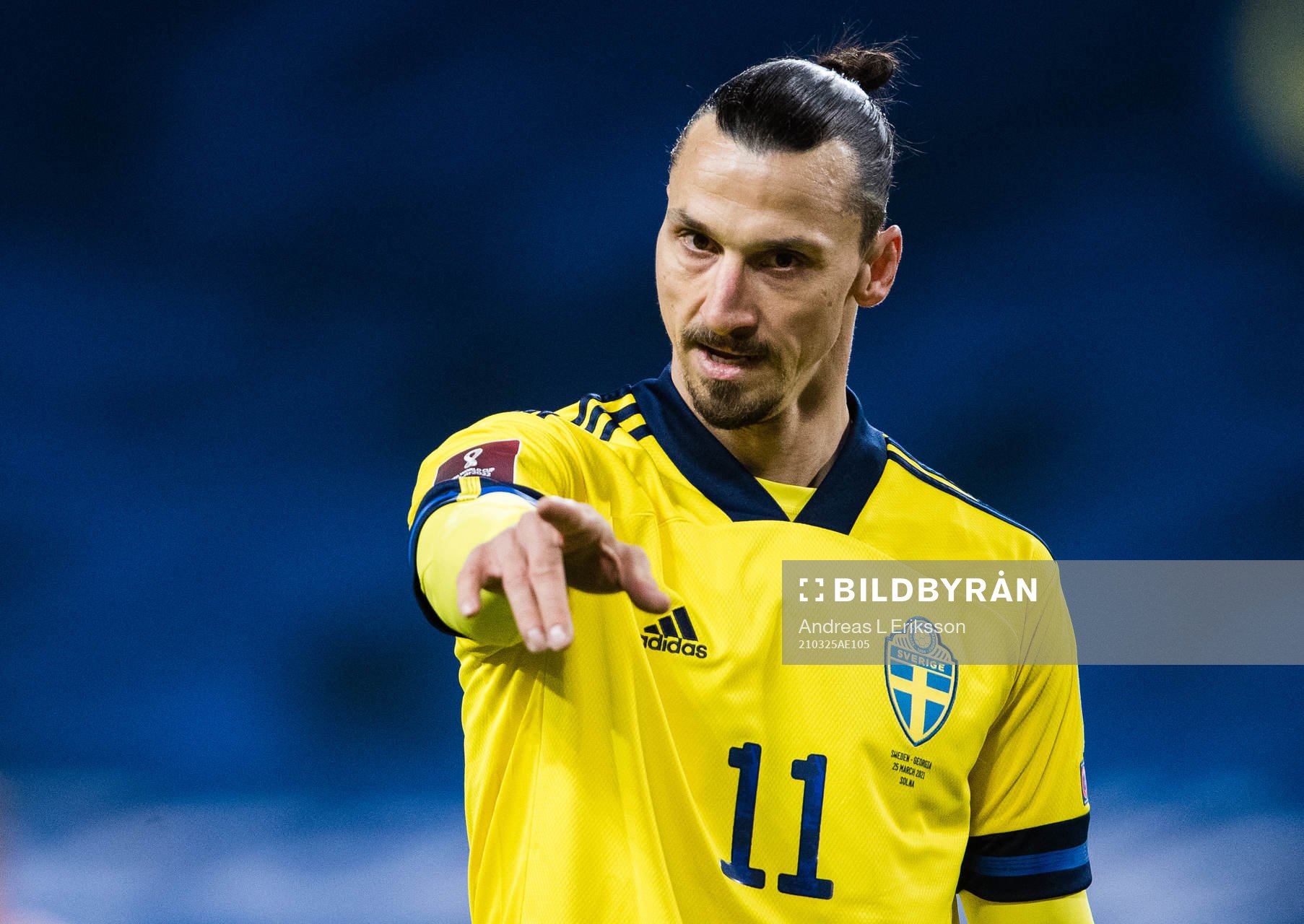 Zlatan Ibrahimovic of Sweden