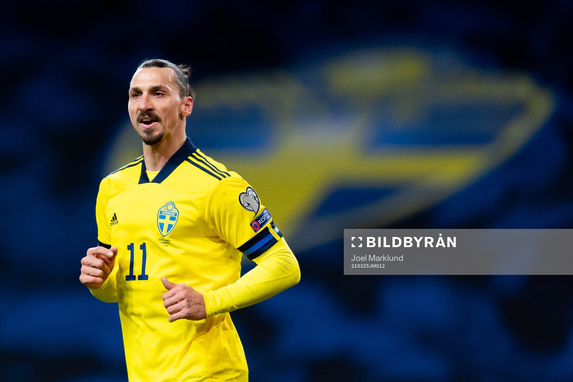 Zlatan Ibrahimovic of Sweden