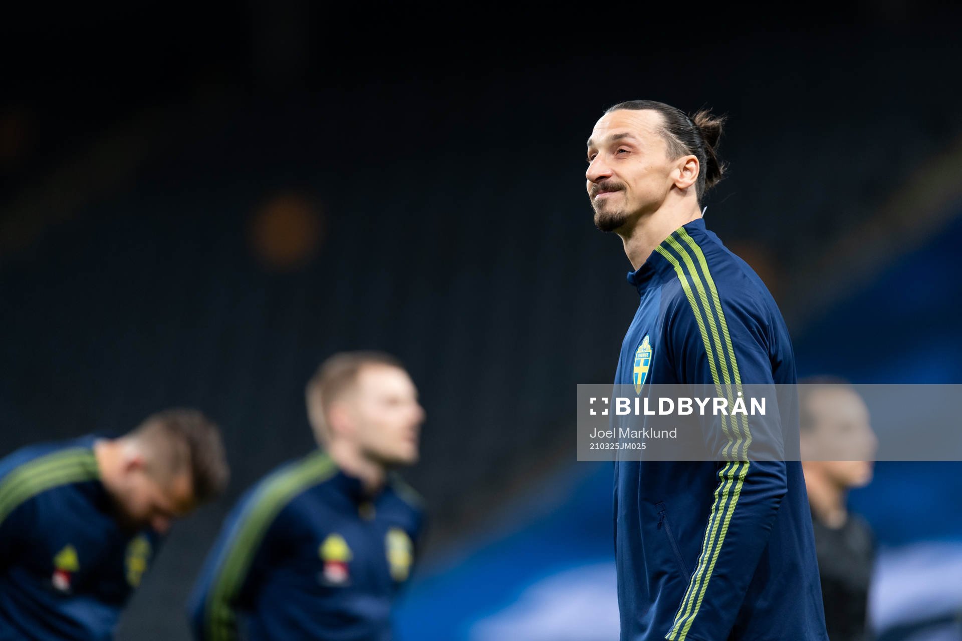 Zlatan Ibrahimovic of Sweden