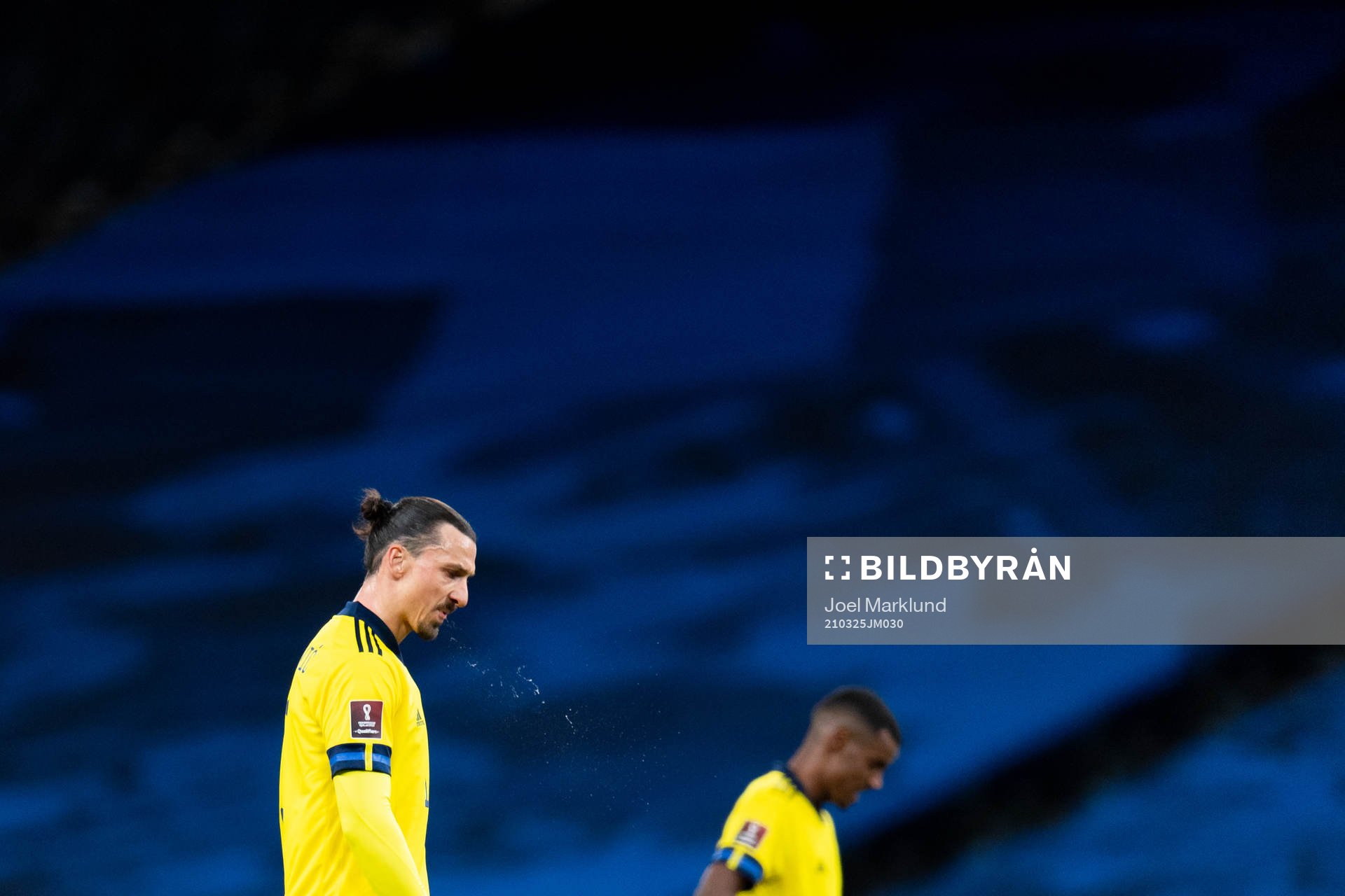 Zlatan Ibrahimovic of Sweden