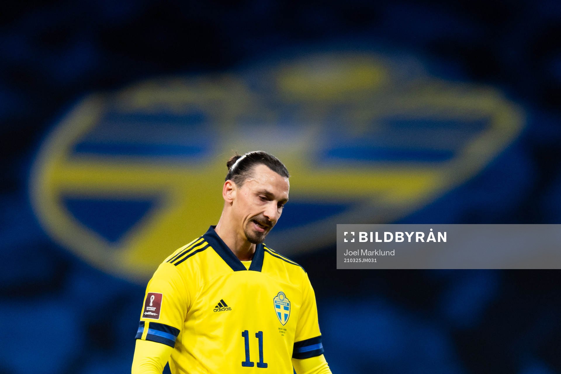 Zlatan Ibrahimovic of Sweden
