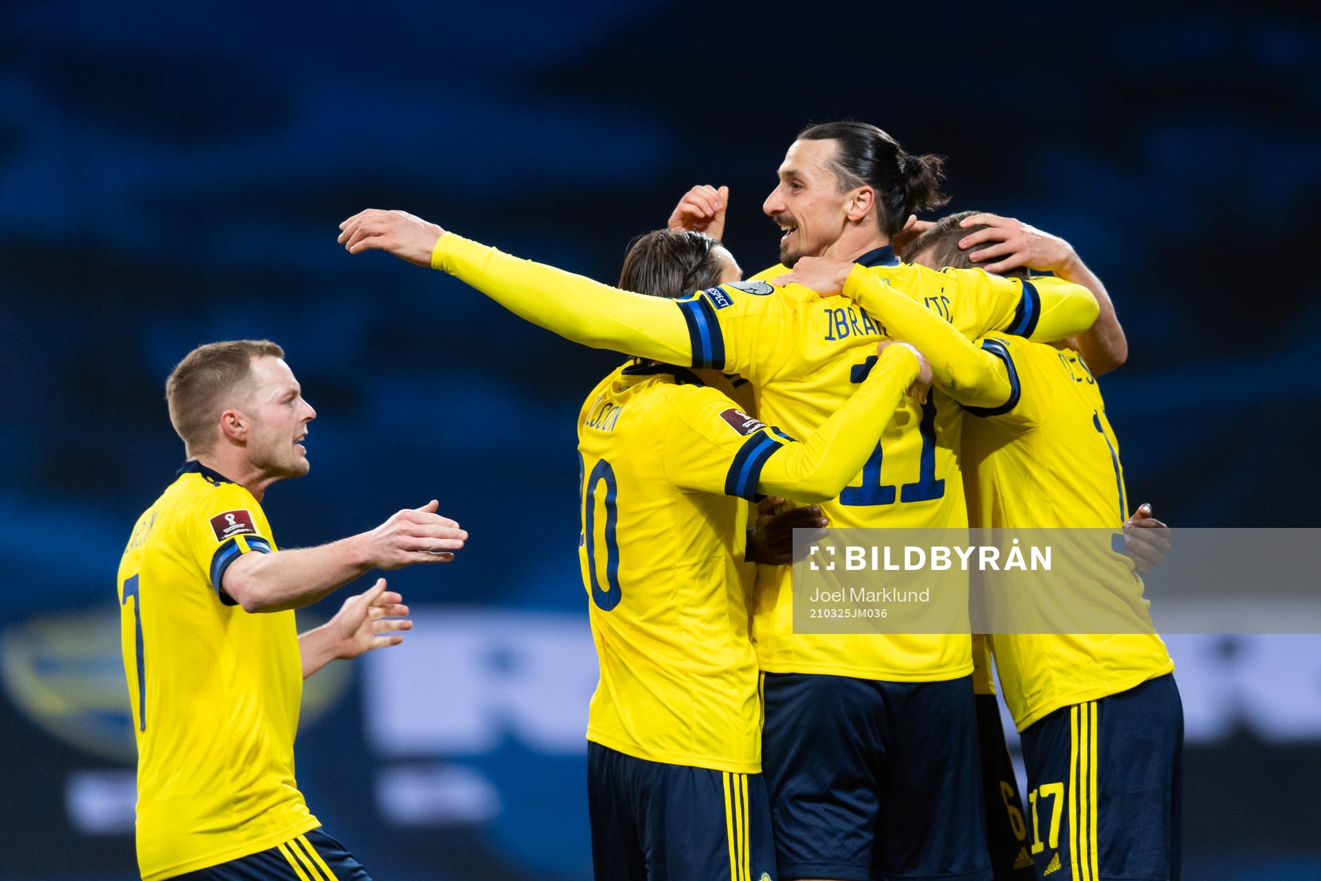 Sebastian Larsson and Zlatan Ibrahimovic celebrates