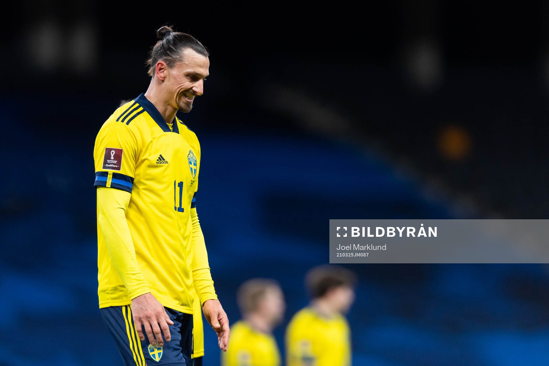 Zlatan Ibrahimovic of Sweden