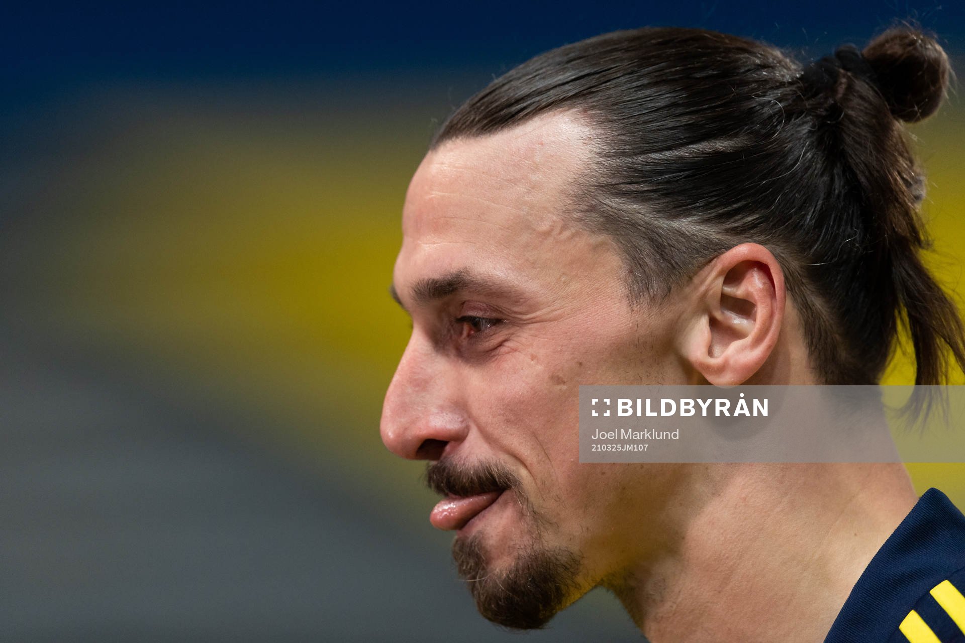 Zlatan Ibrahimovic of Sweden