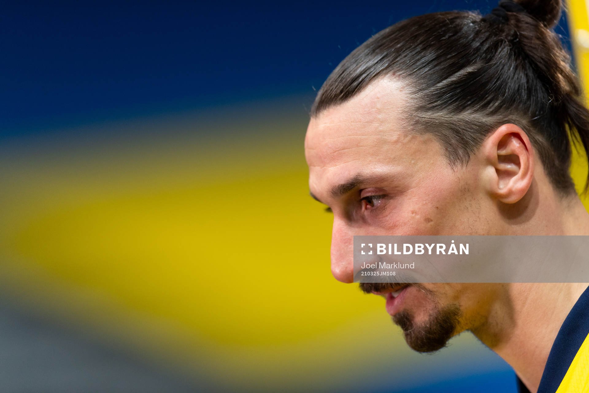 Zlatan Ibrahimovic of Sweden
