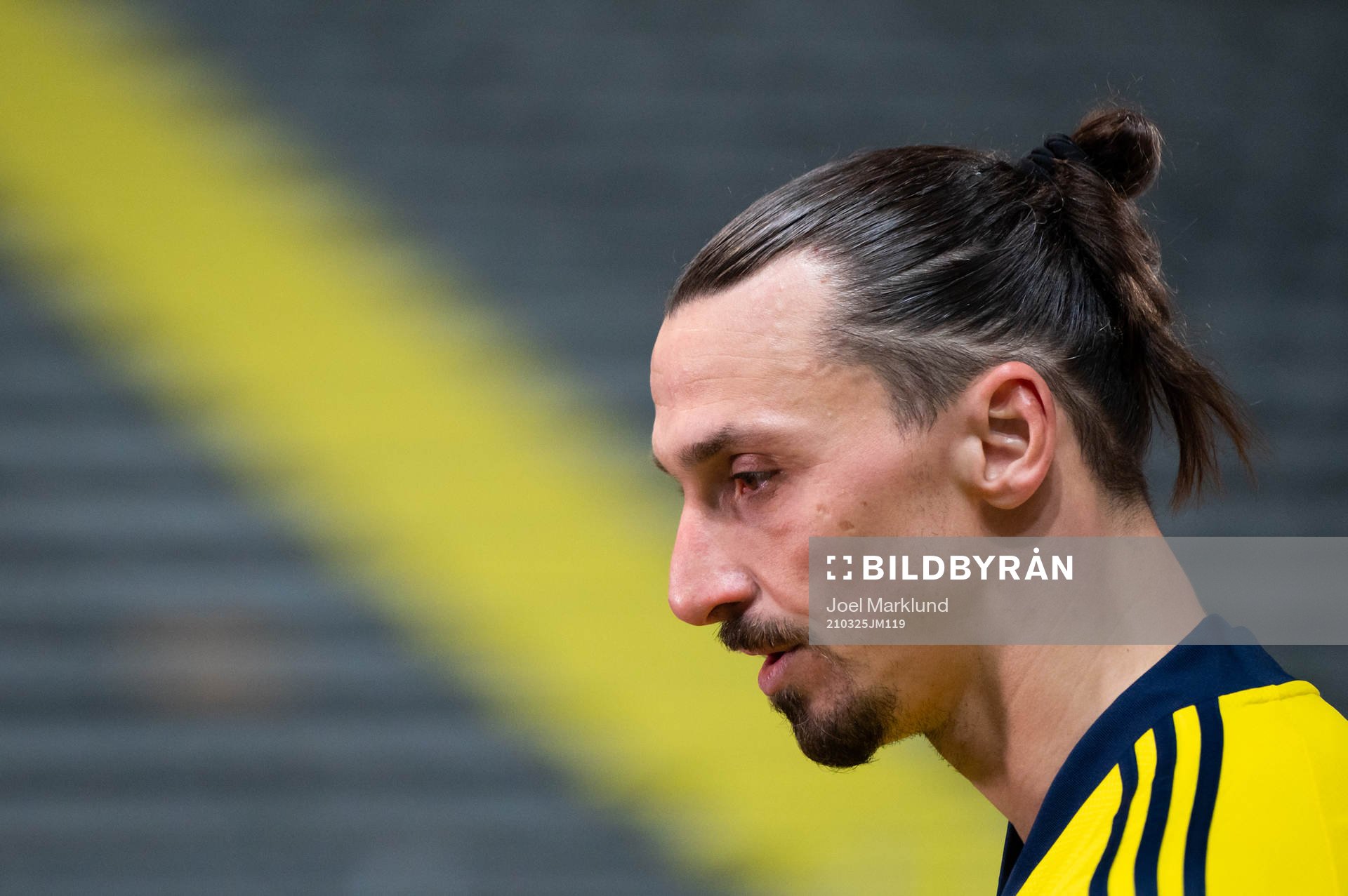 Zlatan Ibrahimovic of Sweden