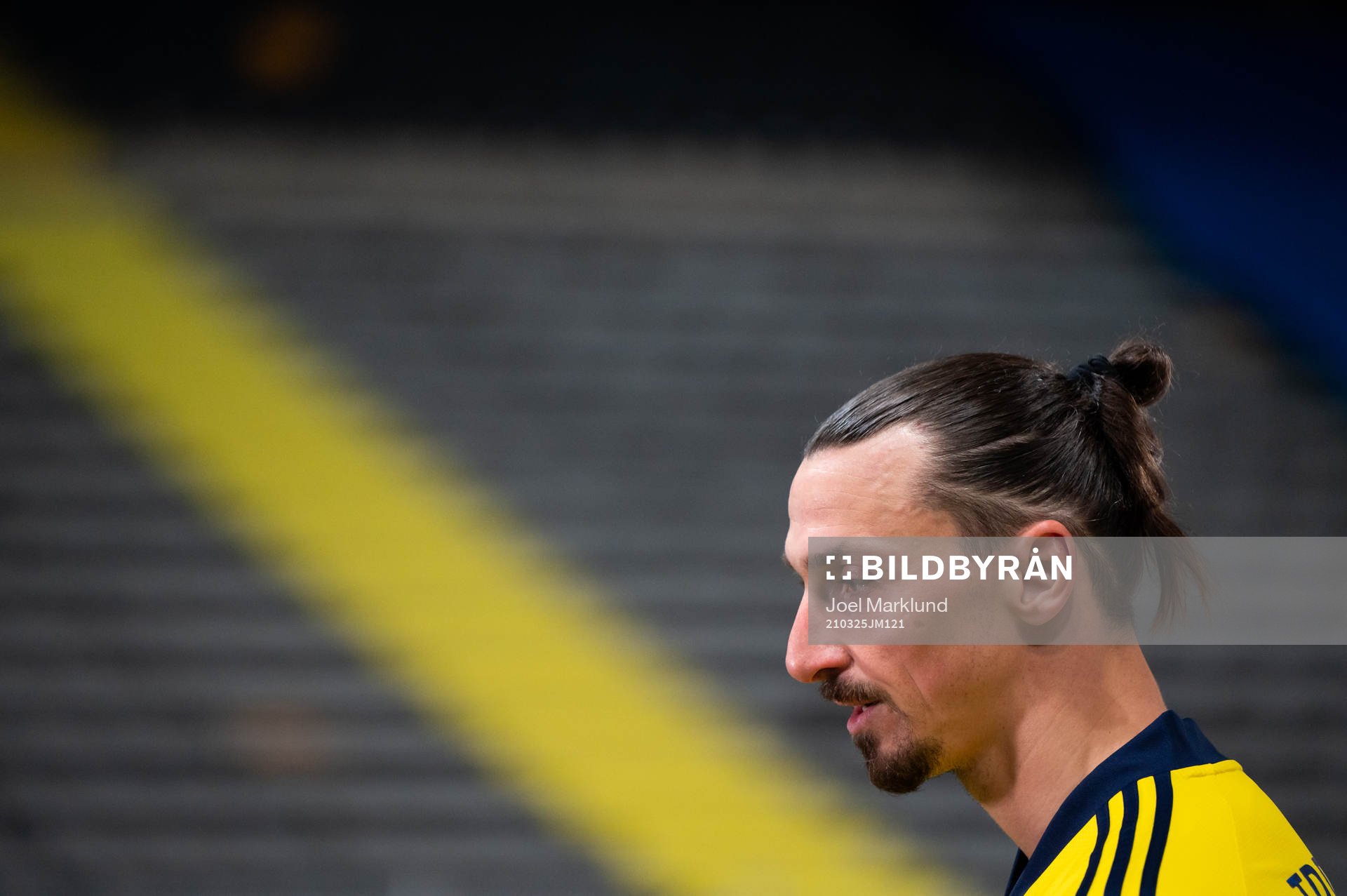 Zlatan Ibrahimovic of Sweden