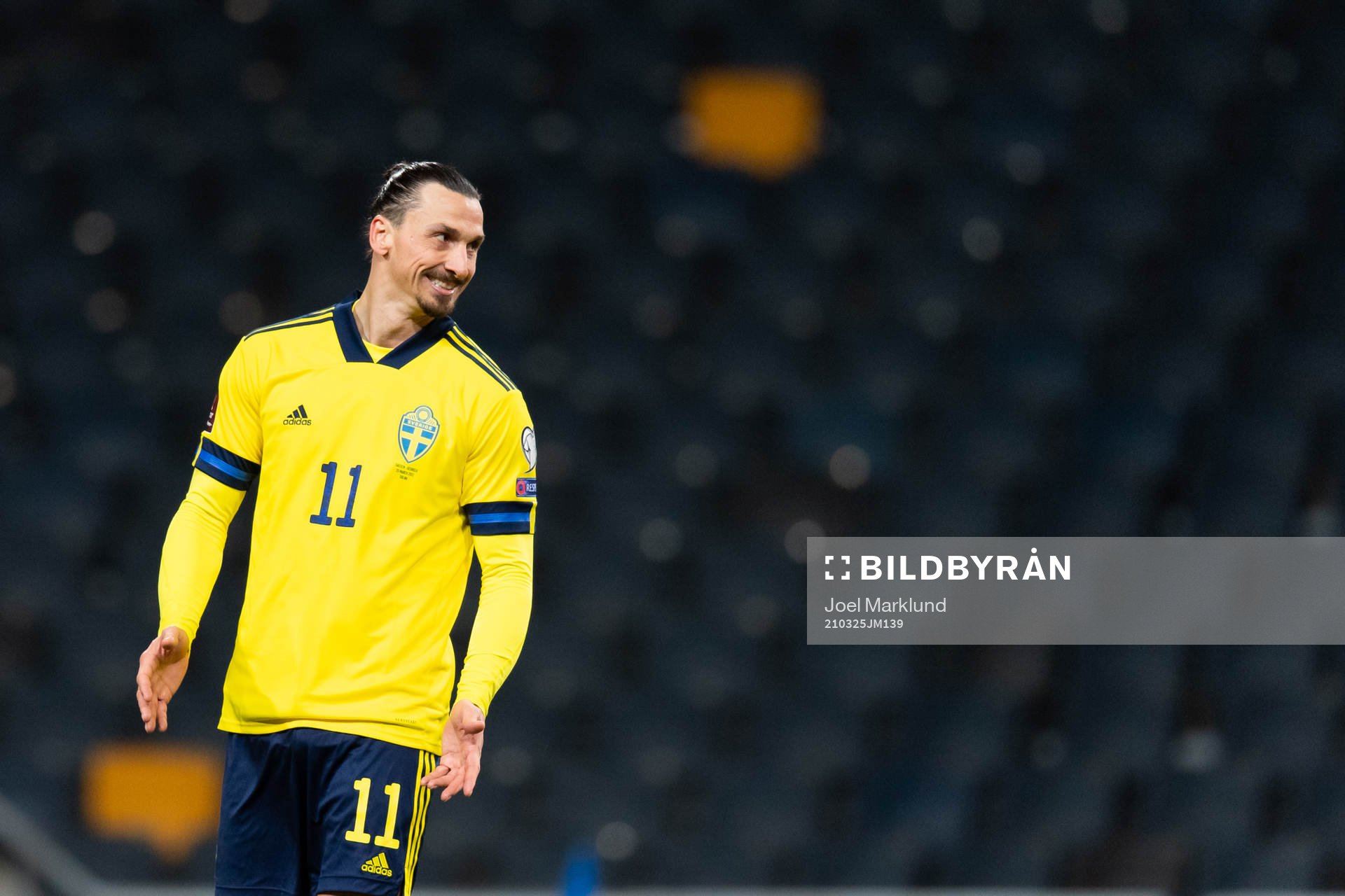 Zlatan Ibrahimovic of Sweden
