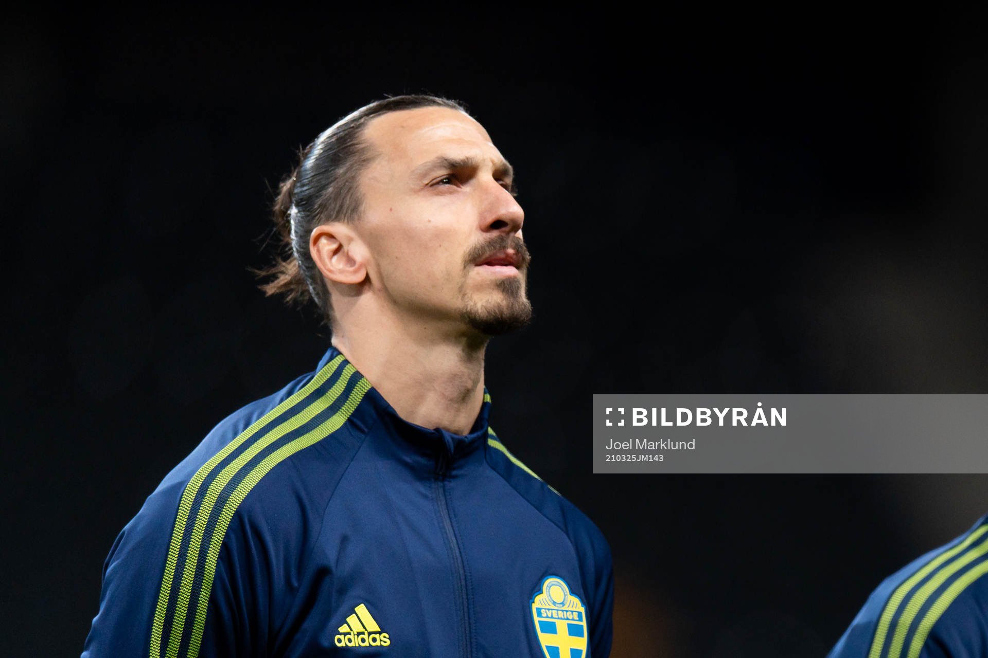 Zlatan Ibrahimovic of Sweden