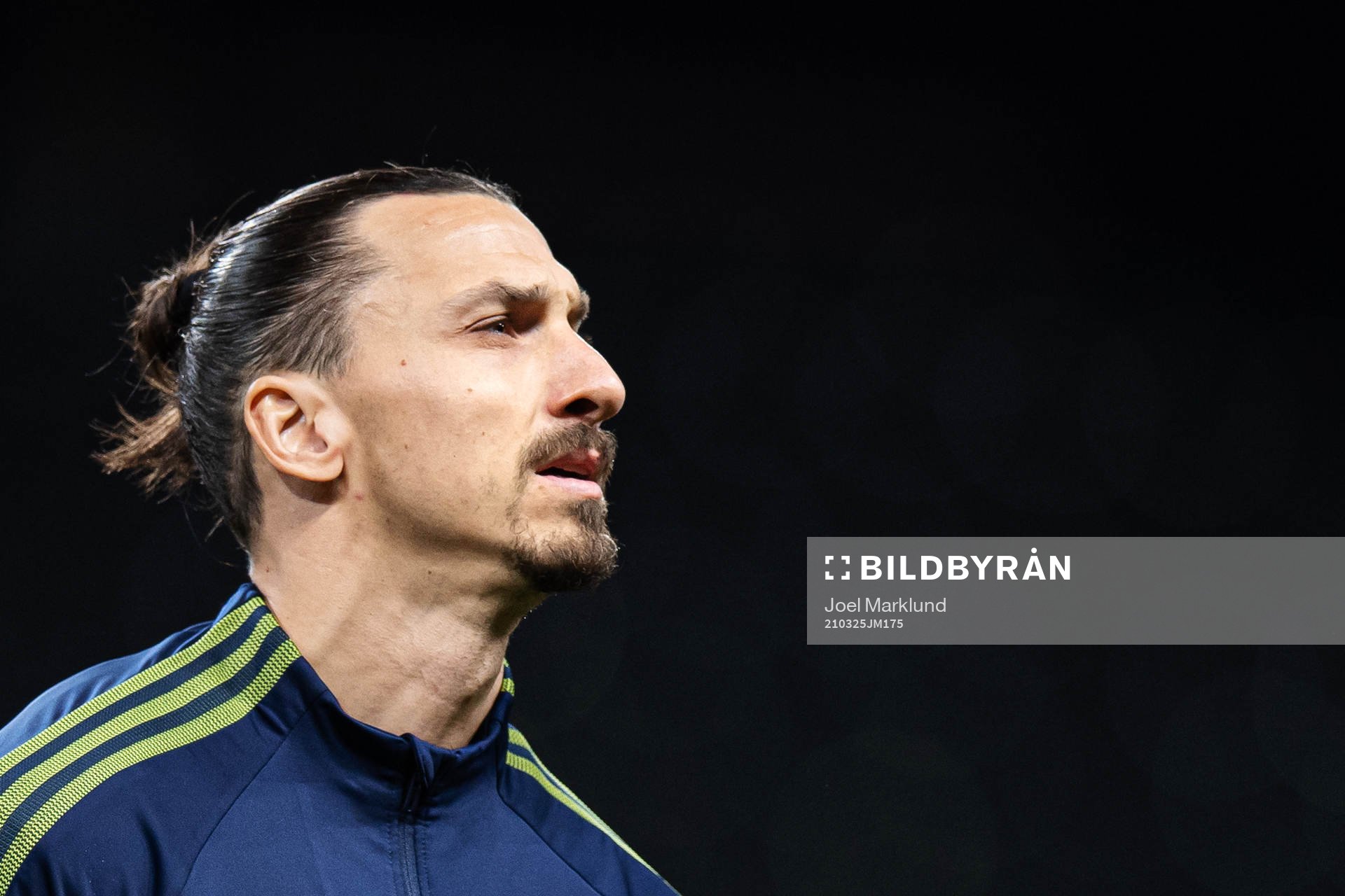 Zlatan Ibrahimovic of Sweden