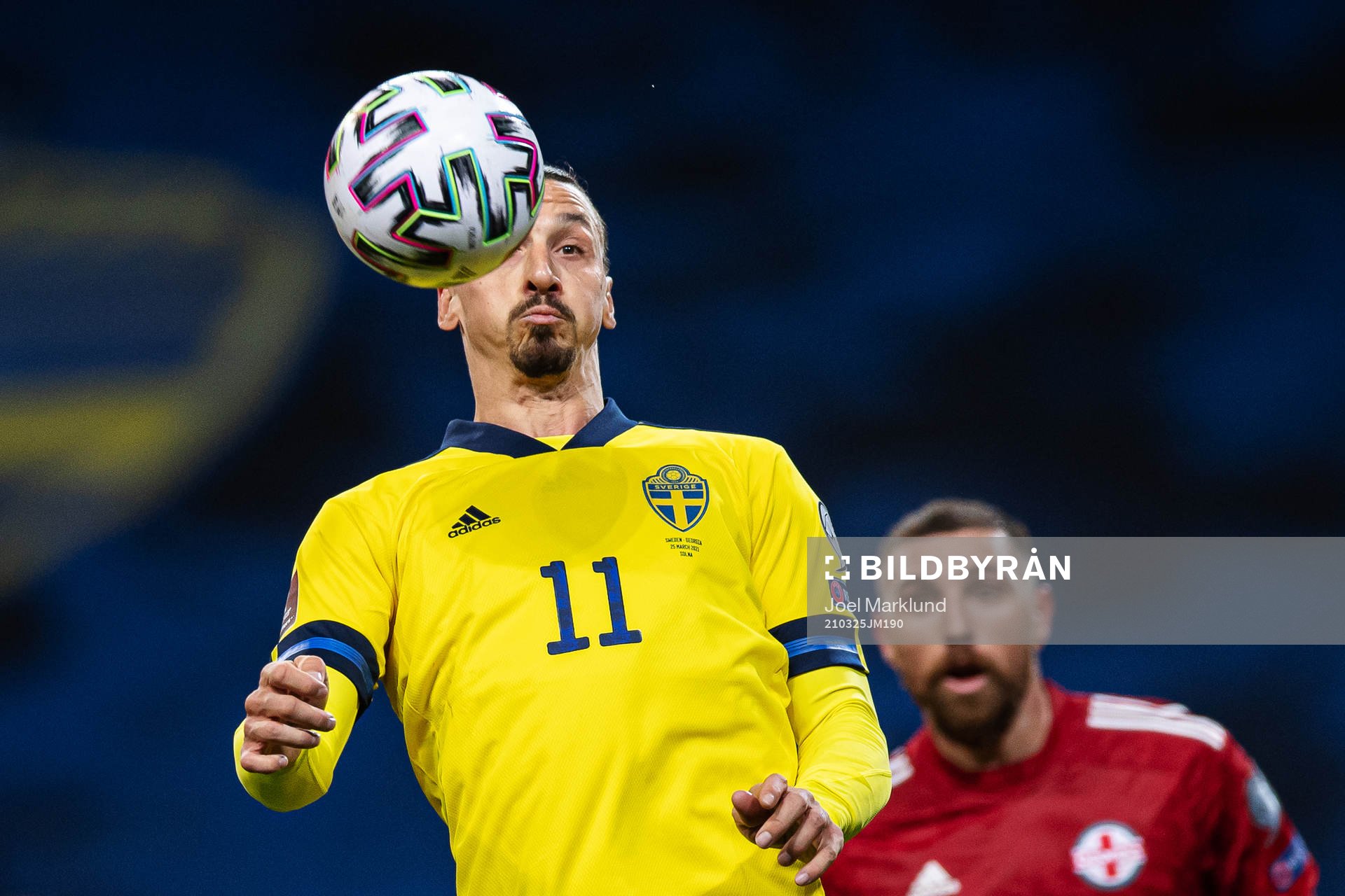 Zlatan Ibrahimovic of Sweden