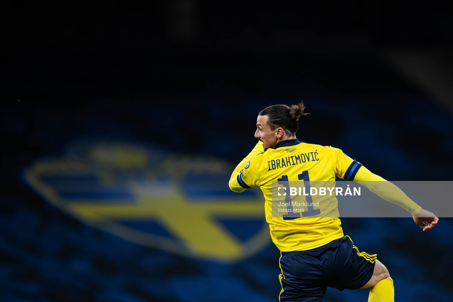 Zlatan Ibrahimovic of Sweden