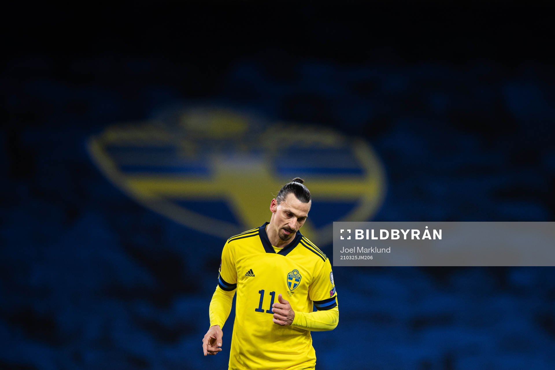 Zlatan Ibrahimovic of Sweden