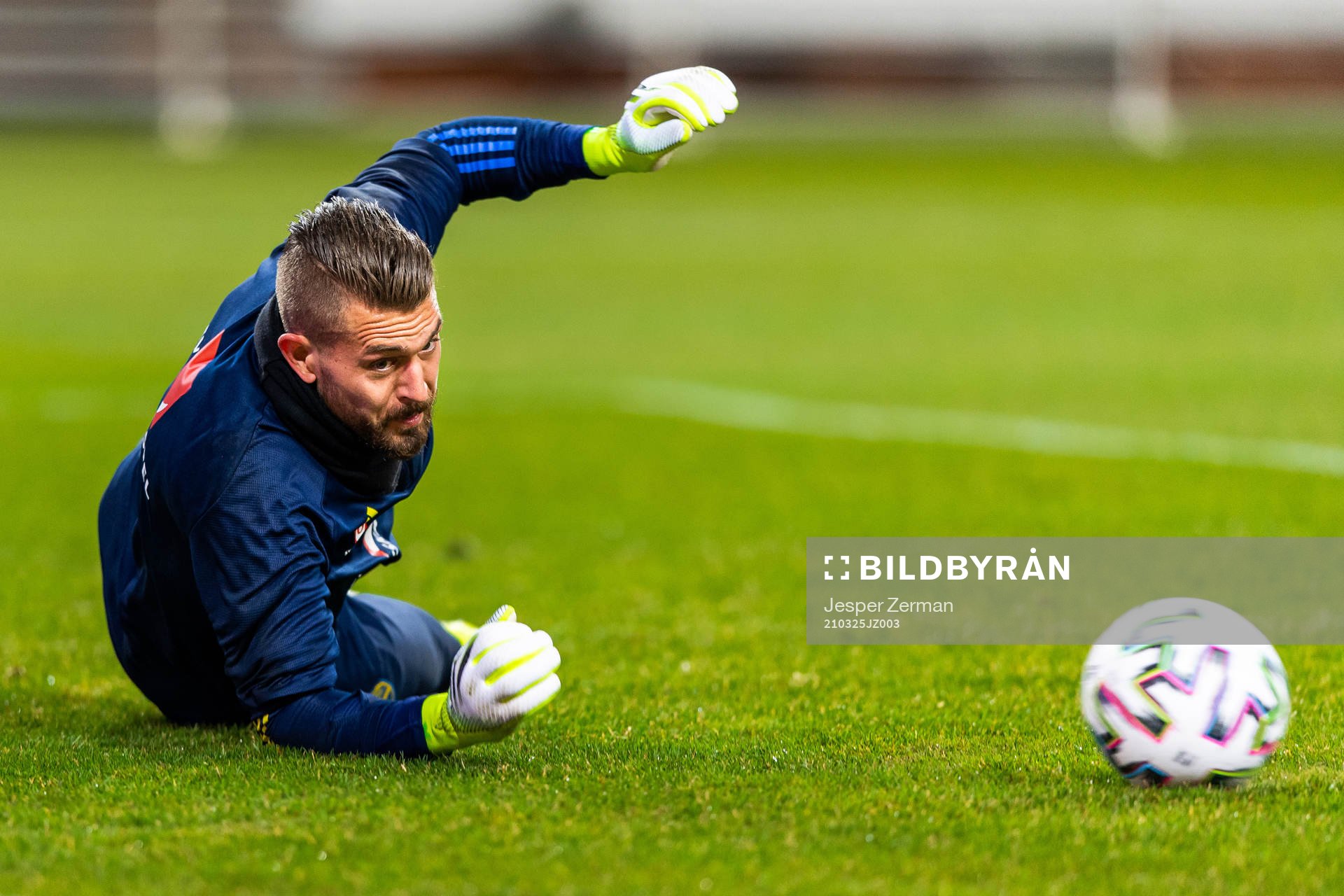 Goalkeeper Kristoffer Nordfeldt of Sweden