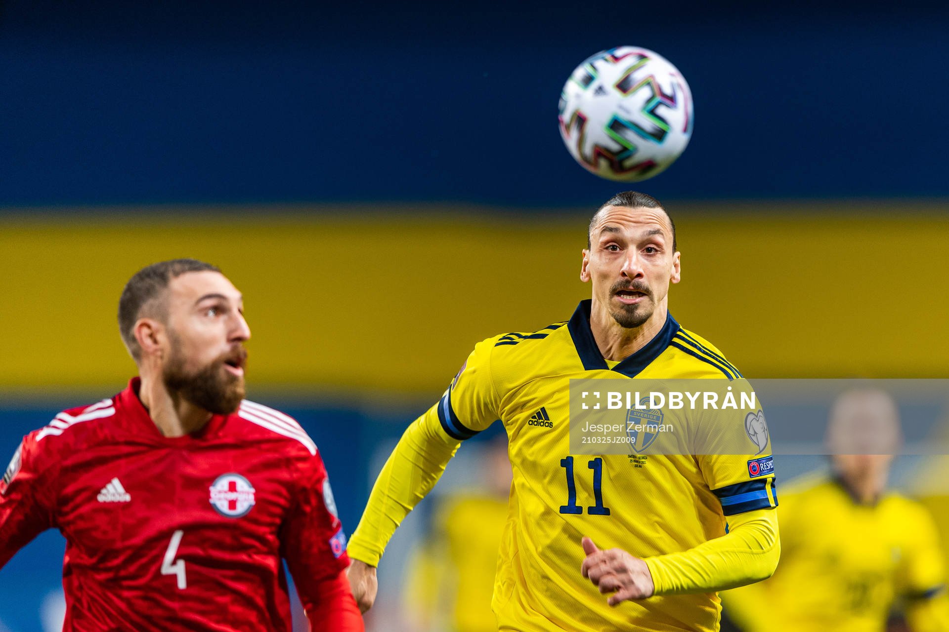 Guram Kashia of Georgia and Zlatan Ibrahimovic of Sweden
