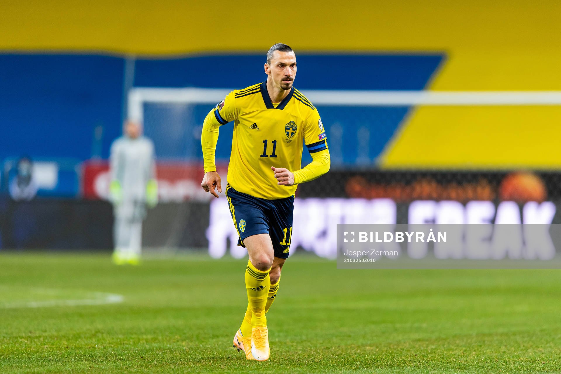 Zlatan Ibrahimovic of Sweden