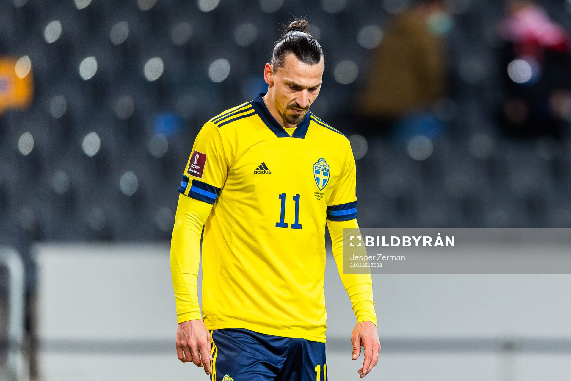 Zlatan Ibrahimovic of Sweden