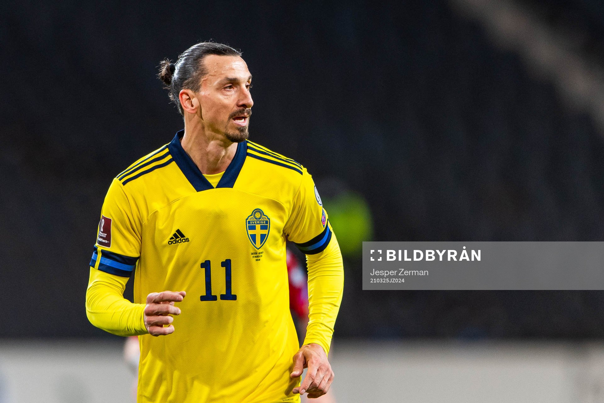 Zlatan Ibrahimovic of Sweden