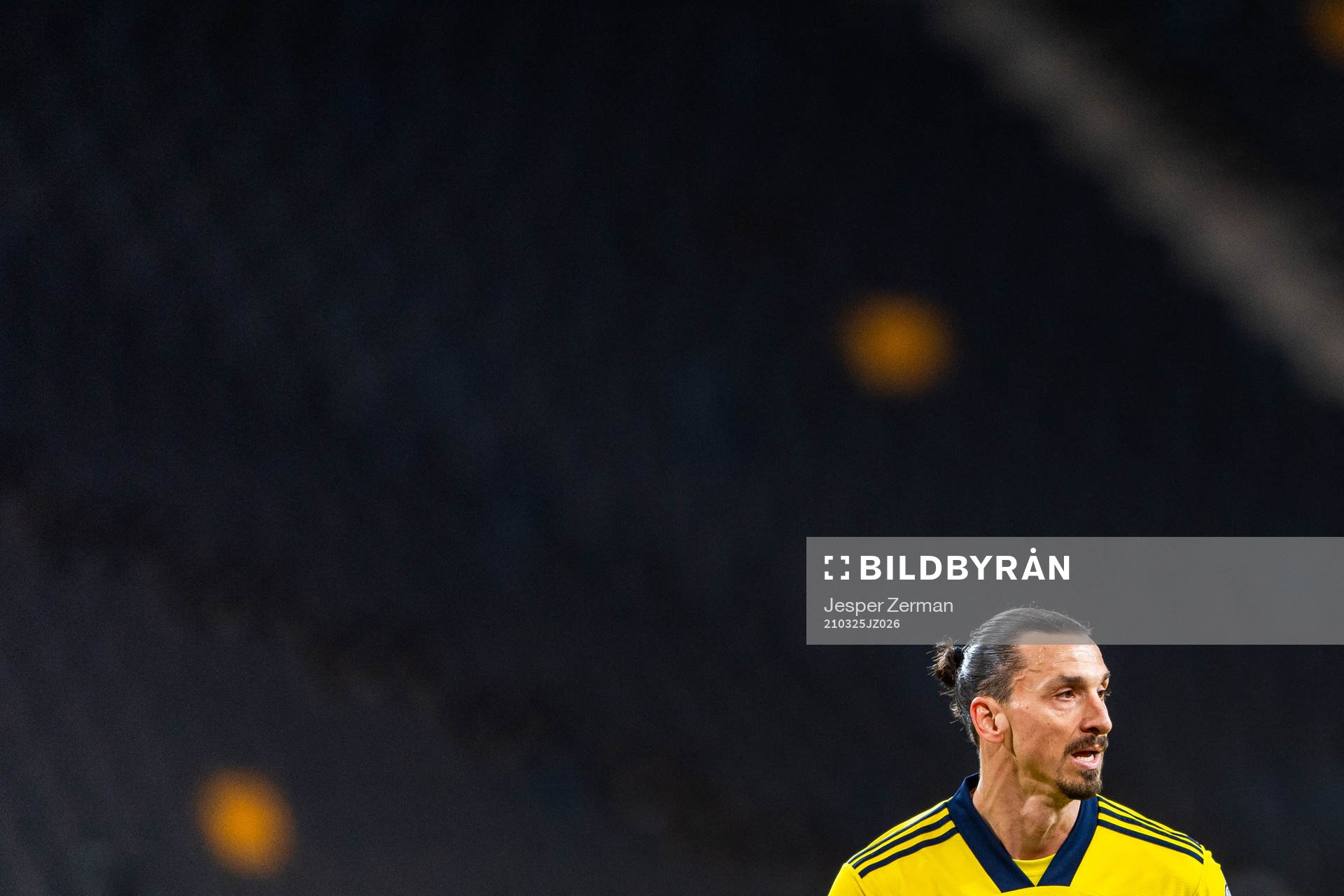 Zlatan Ibrahimovic of Sweden
