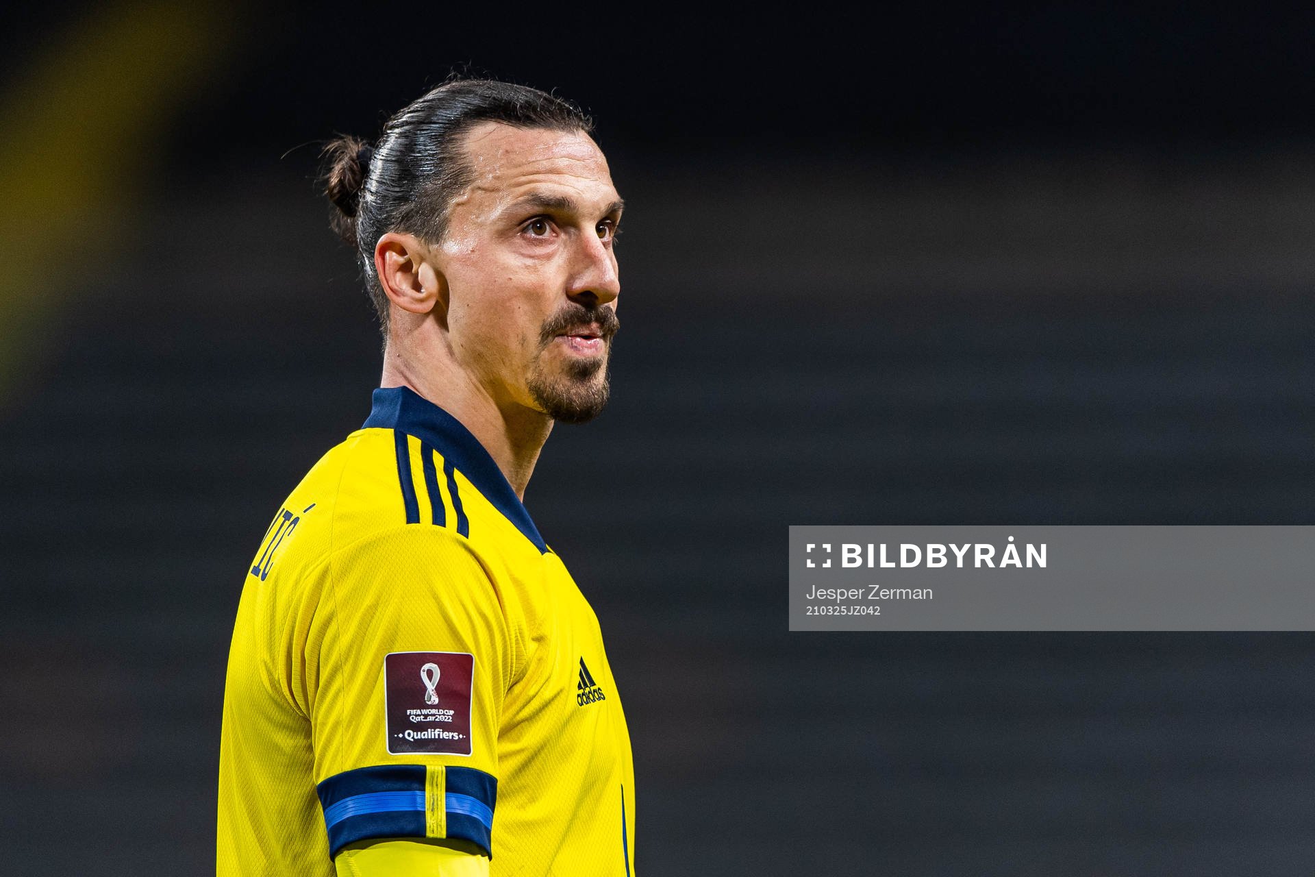 Zlatan Ibrahimovic of Sweden