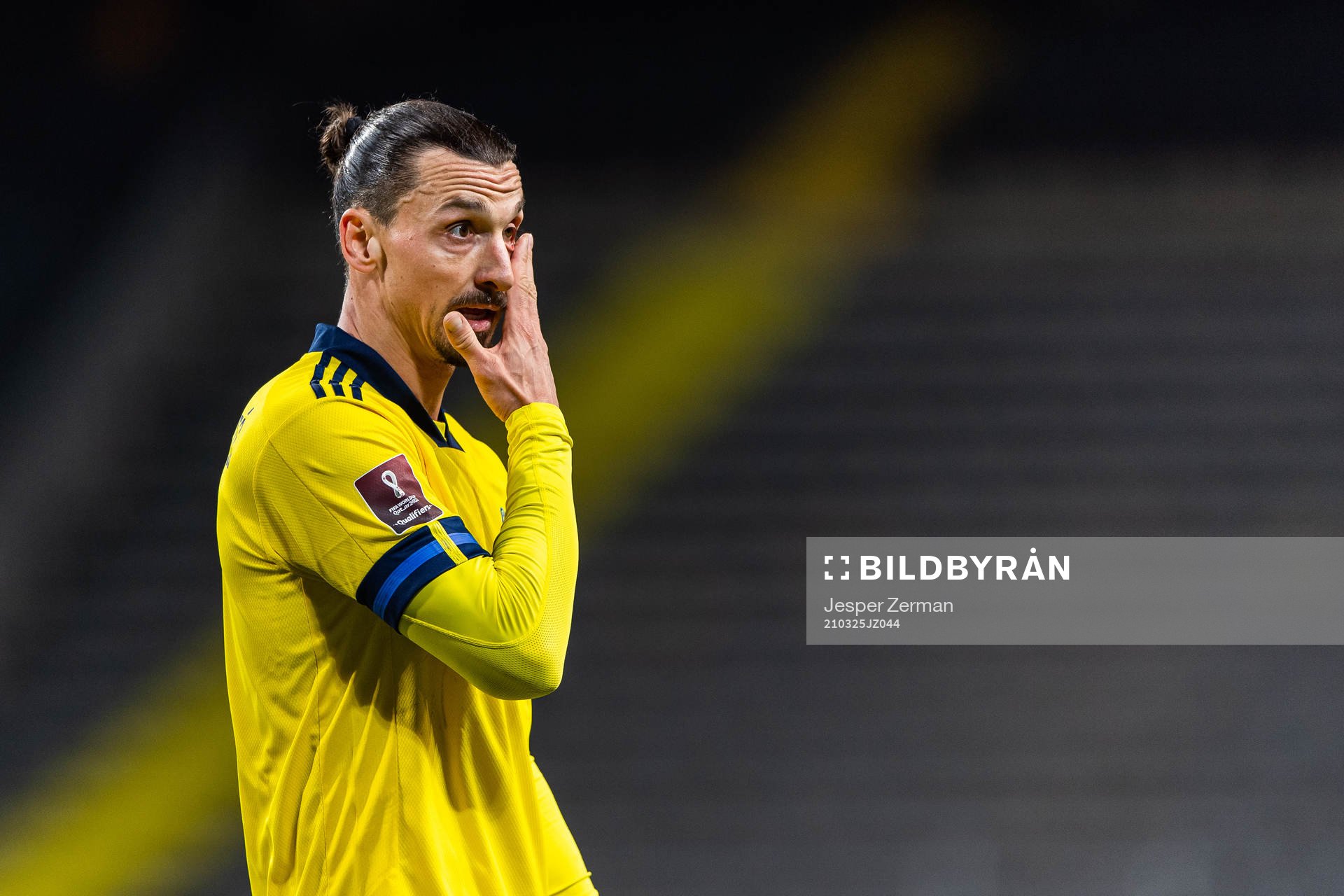 Zlatan Ibrahimovic of Sweden